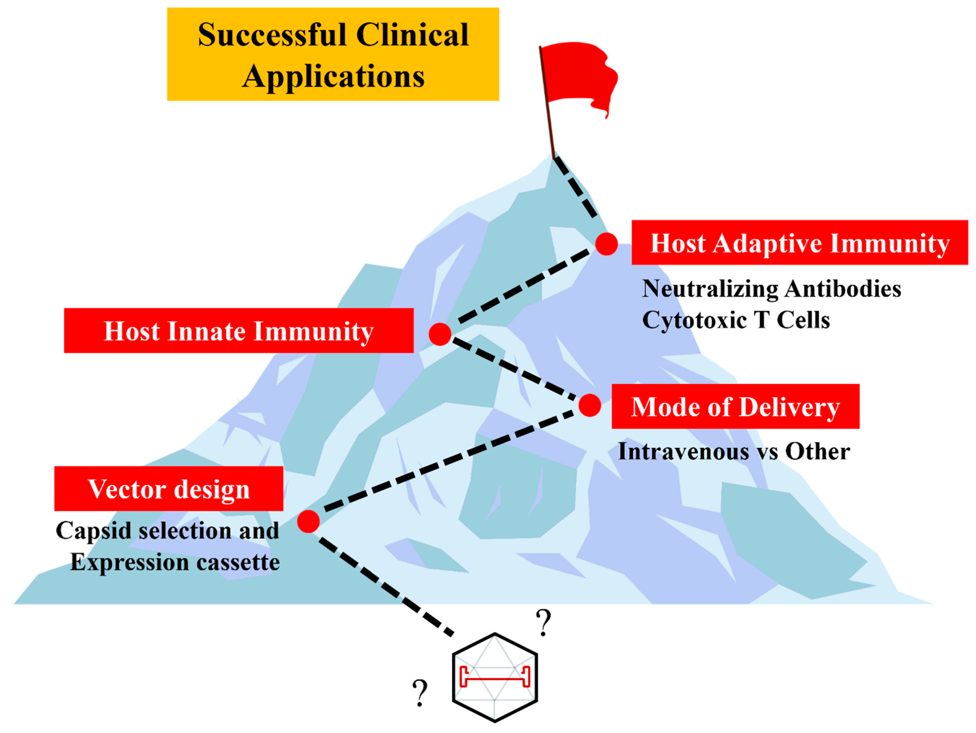 Biomedicines 12 01351 g003