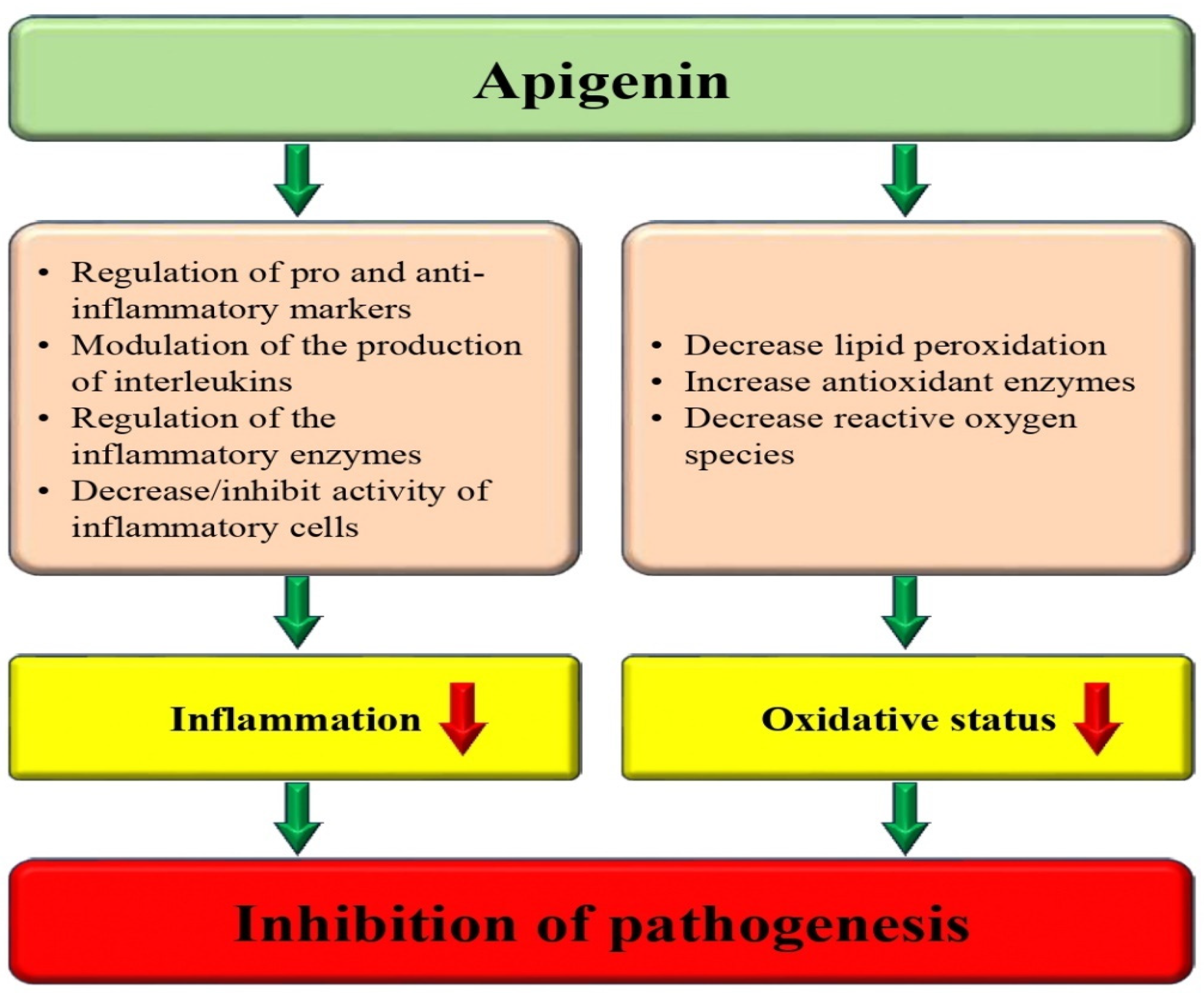 Biomedicines 12 01353 g003