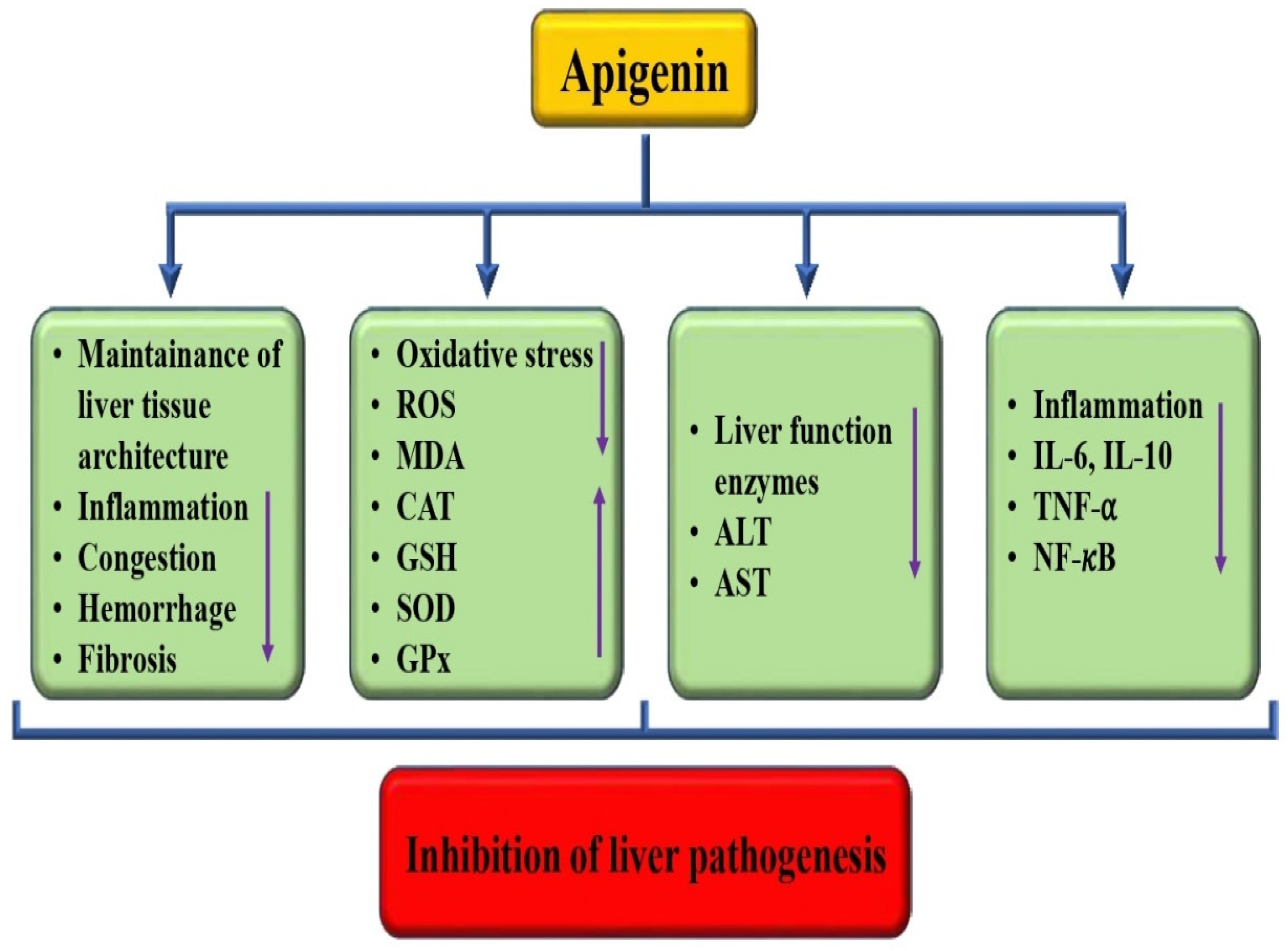 Biomedicines 12 01353 g005