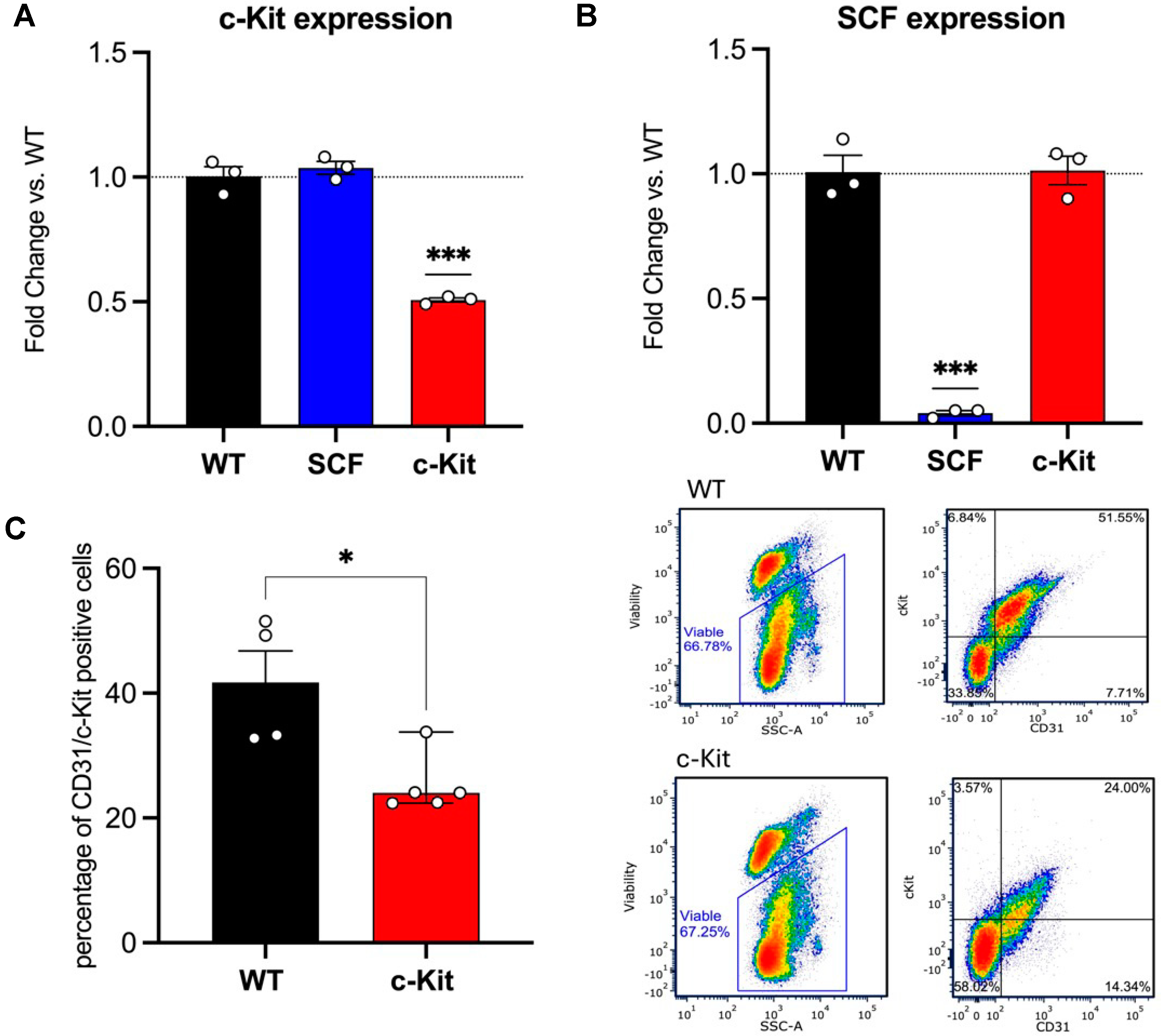 Biomedicines 12 01358 g001 Biomedicines 12 01358 g001