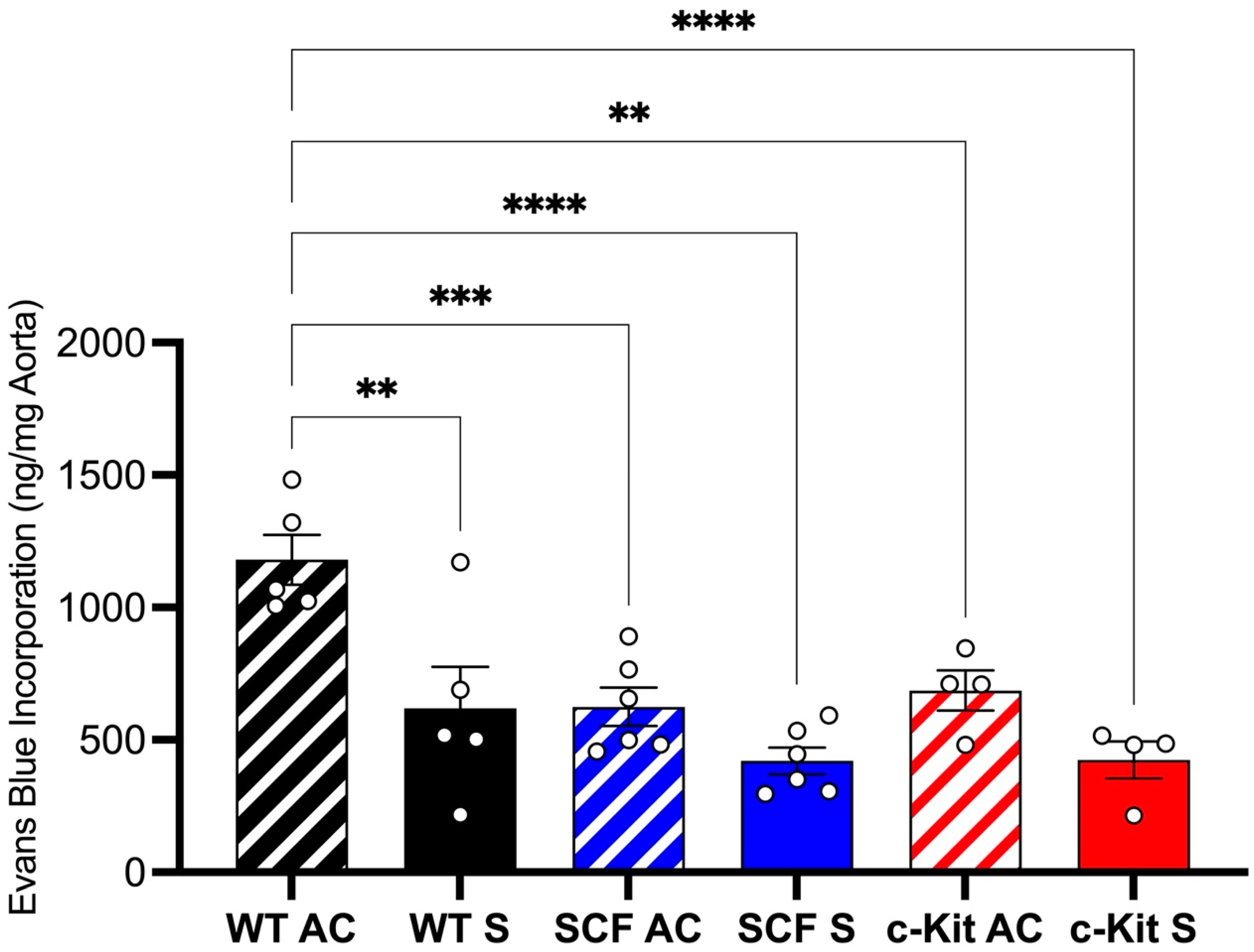 Biomedicines 12 01358 g002 Biomedicines 12 01358 g002