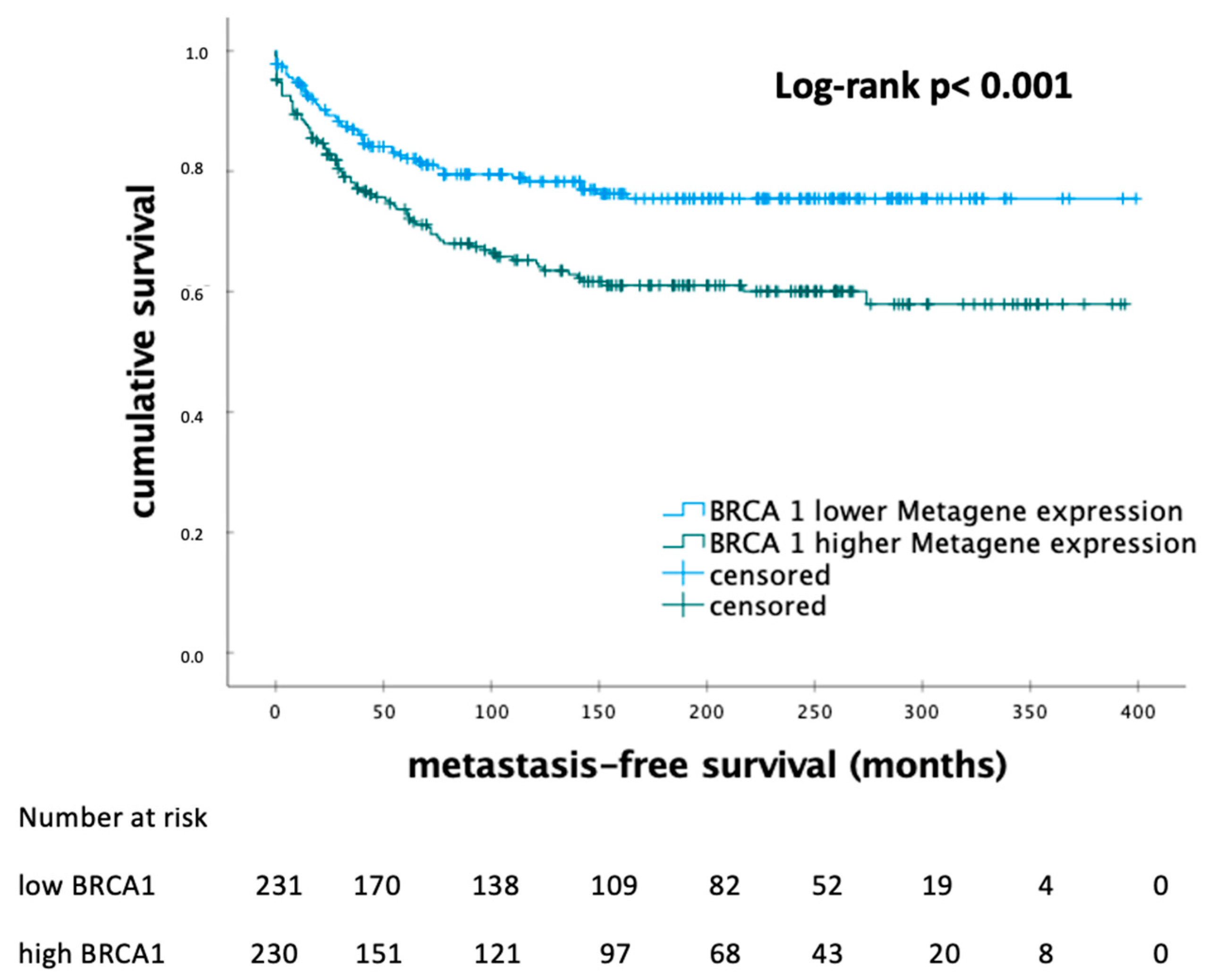 Biomedicines 12 01361 g001
