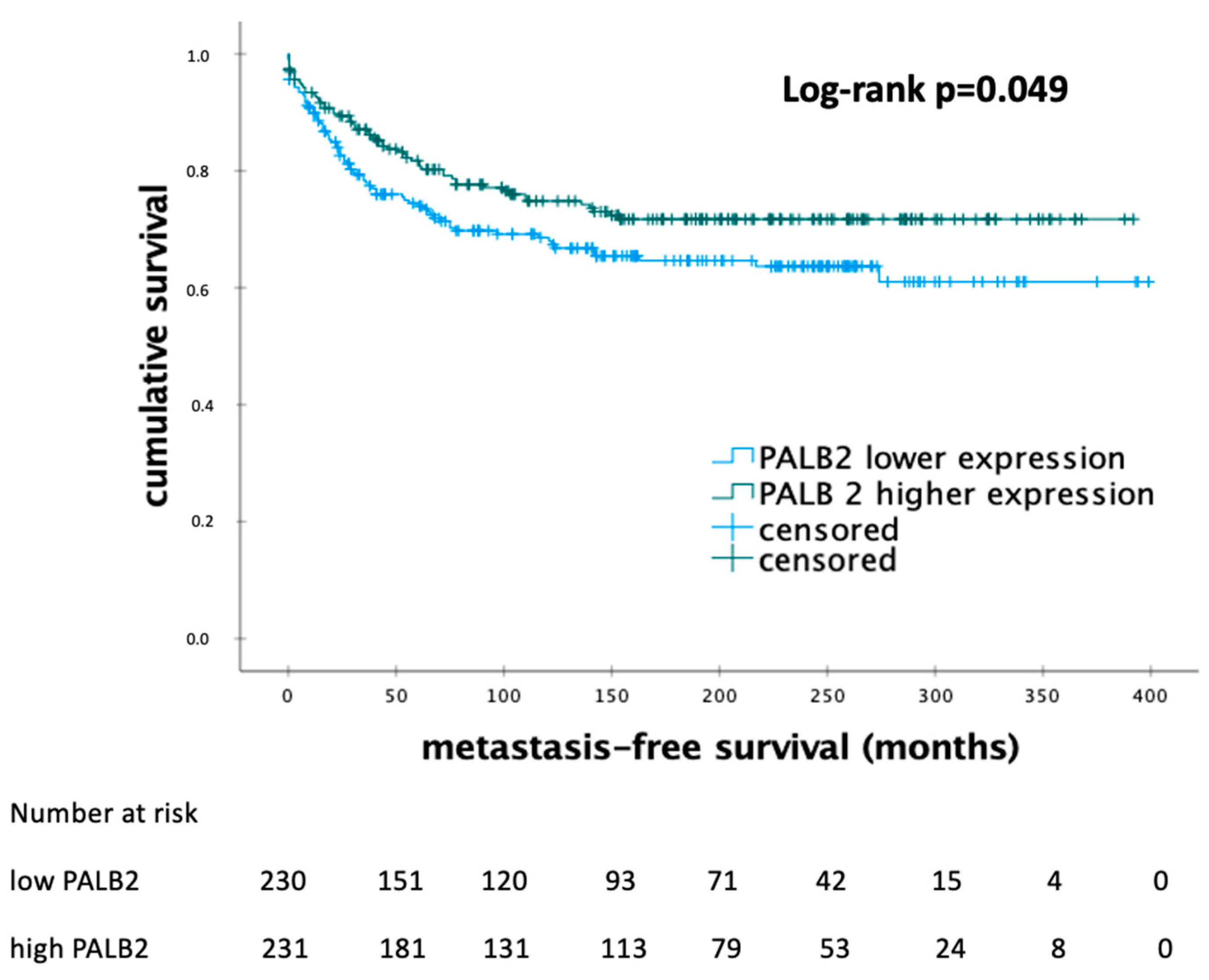 Biomedicines 12 01361 g003
