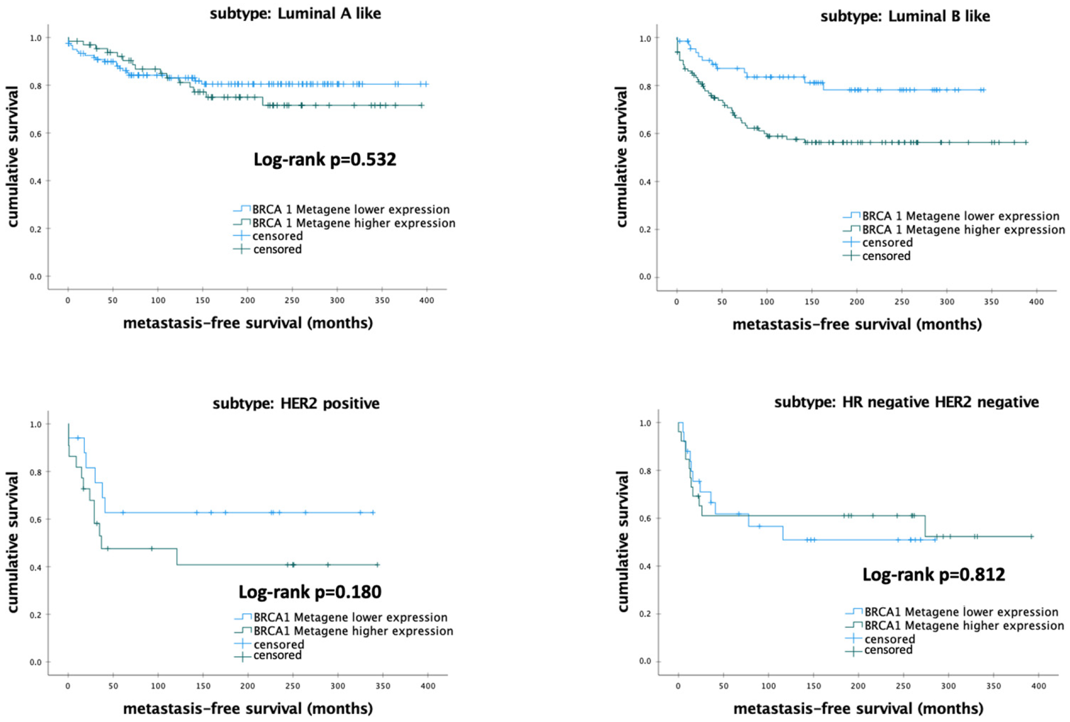 Biomedicines 12 01361 g004