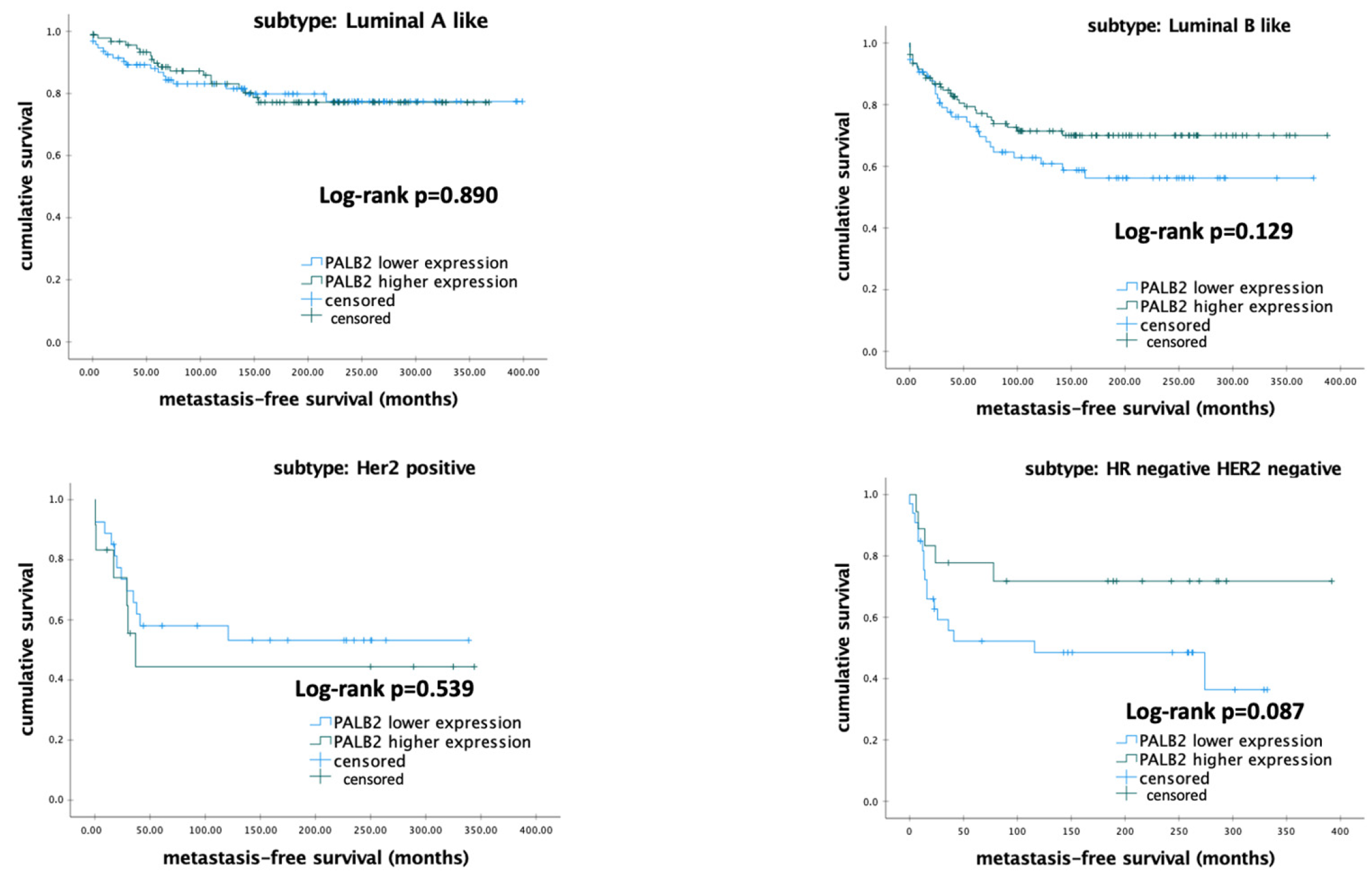 Biomedicines 12 01361 g006