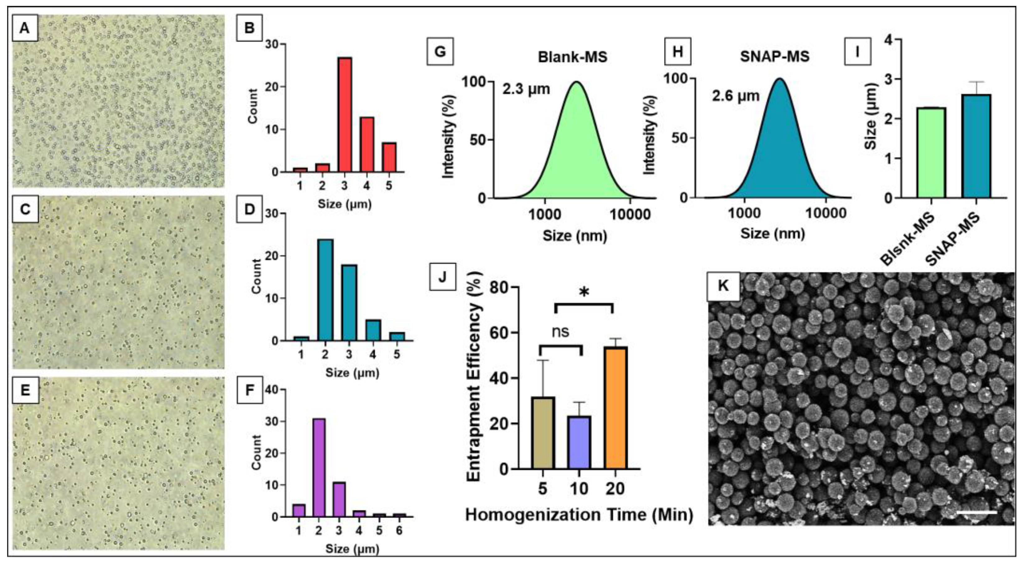 Biomedicines 12 01363 g002 Biomedicines 12 01363 g002