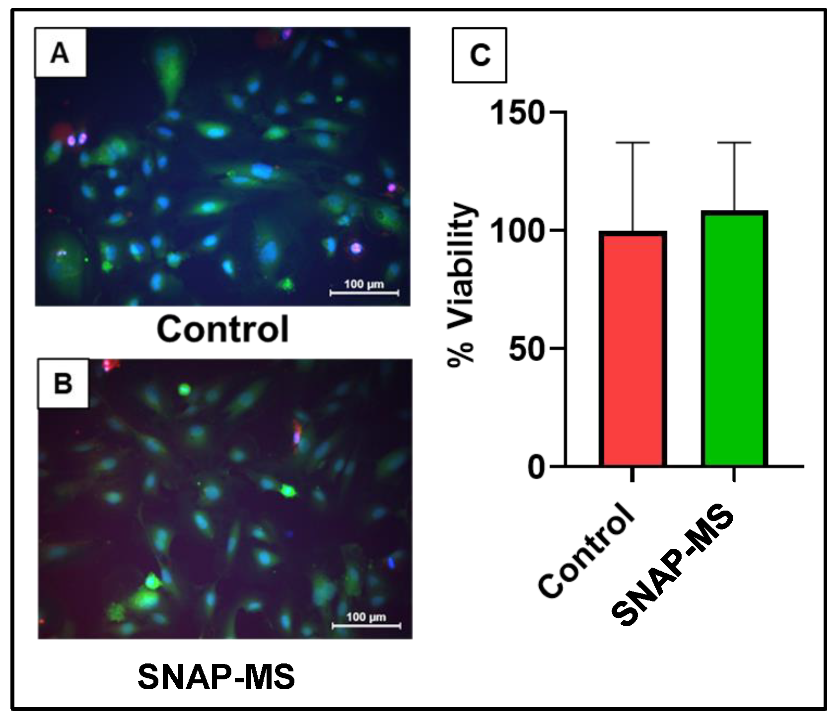Biomedicines 12 01363 g005 Biomedicines 12 01363 g005