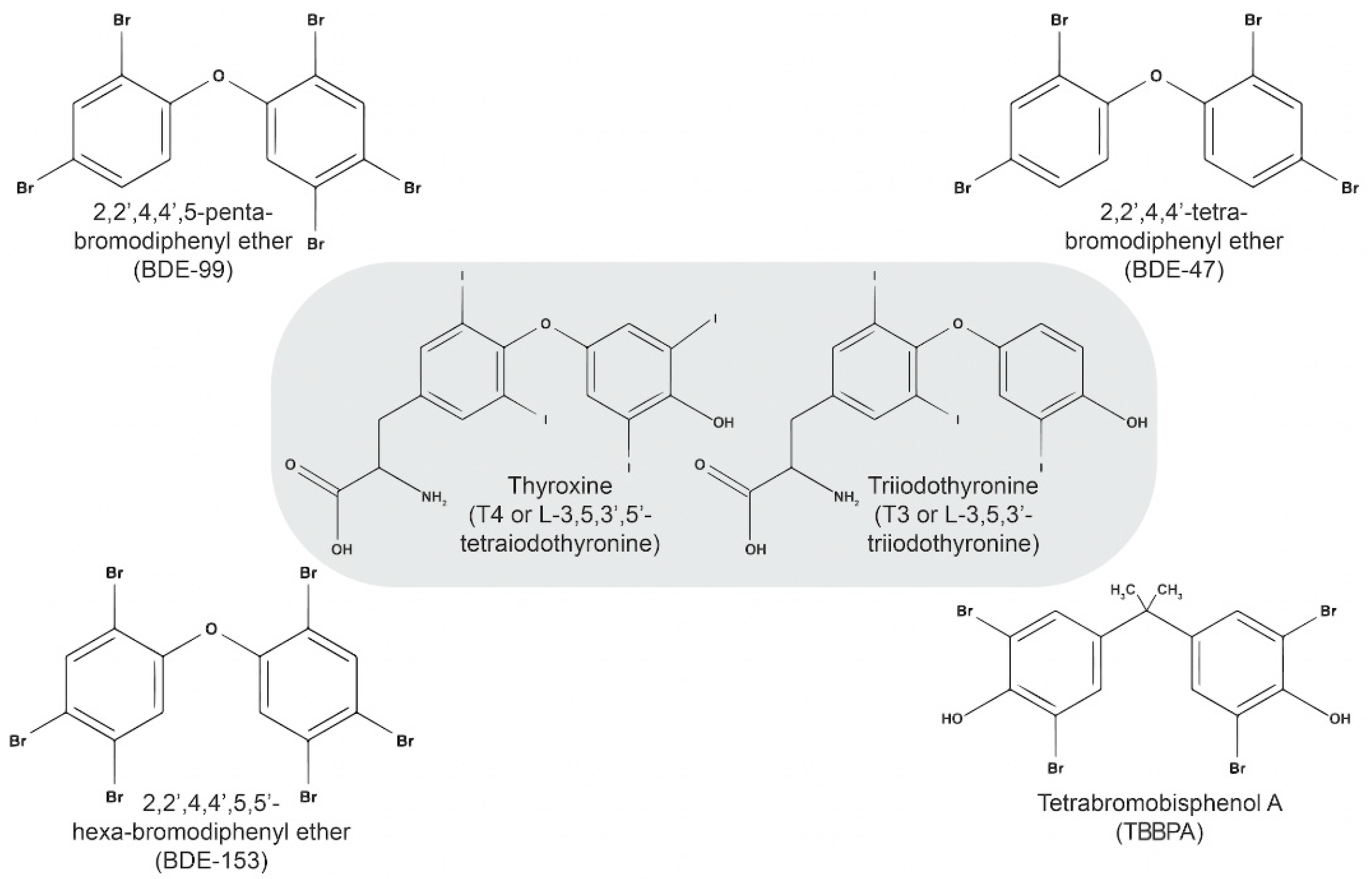 Biomedicines 12 01365 g001 Biomedicines 12 01365 g001