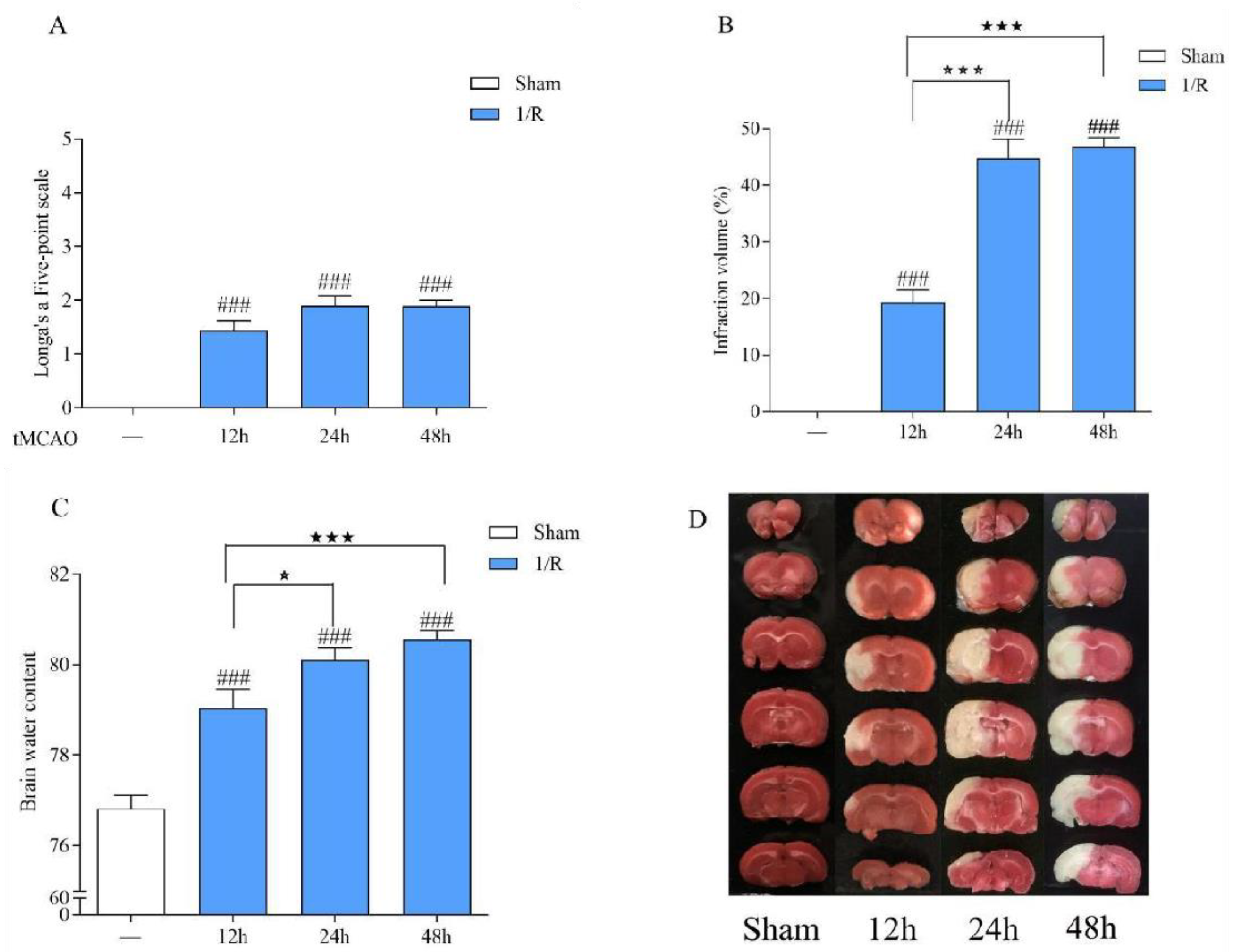 Biomedicines 12 01366 g003