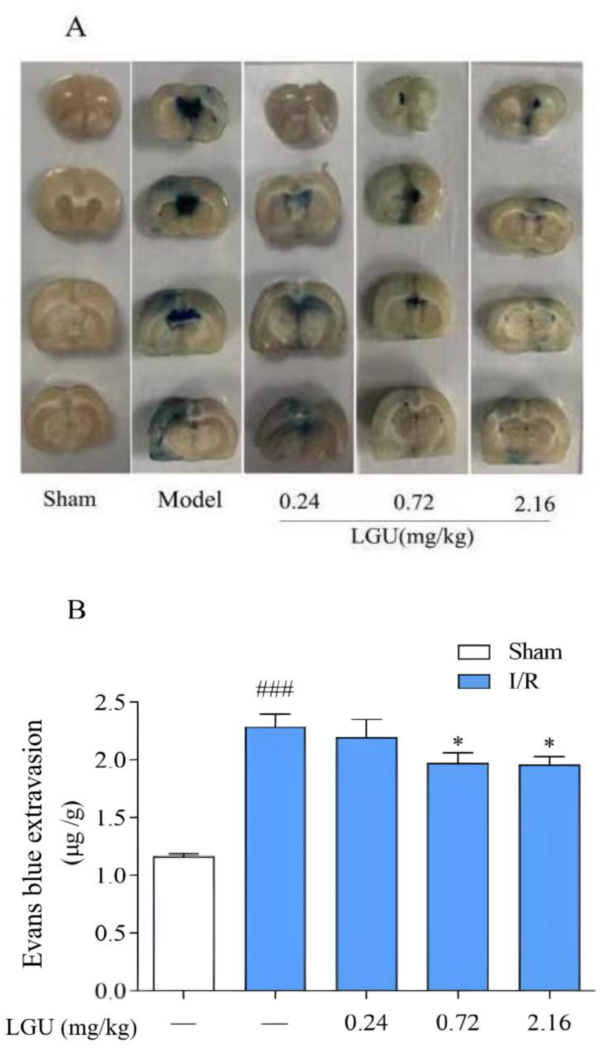 Biomedicines 12 01366 g005