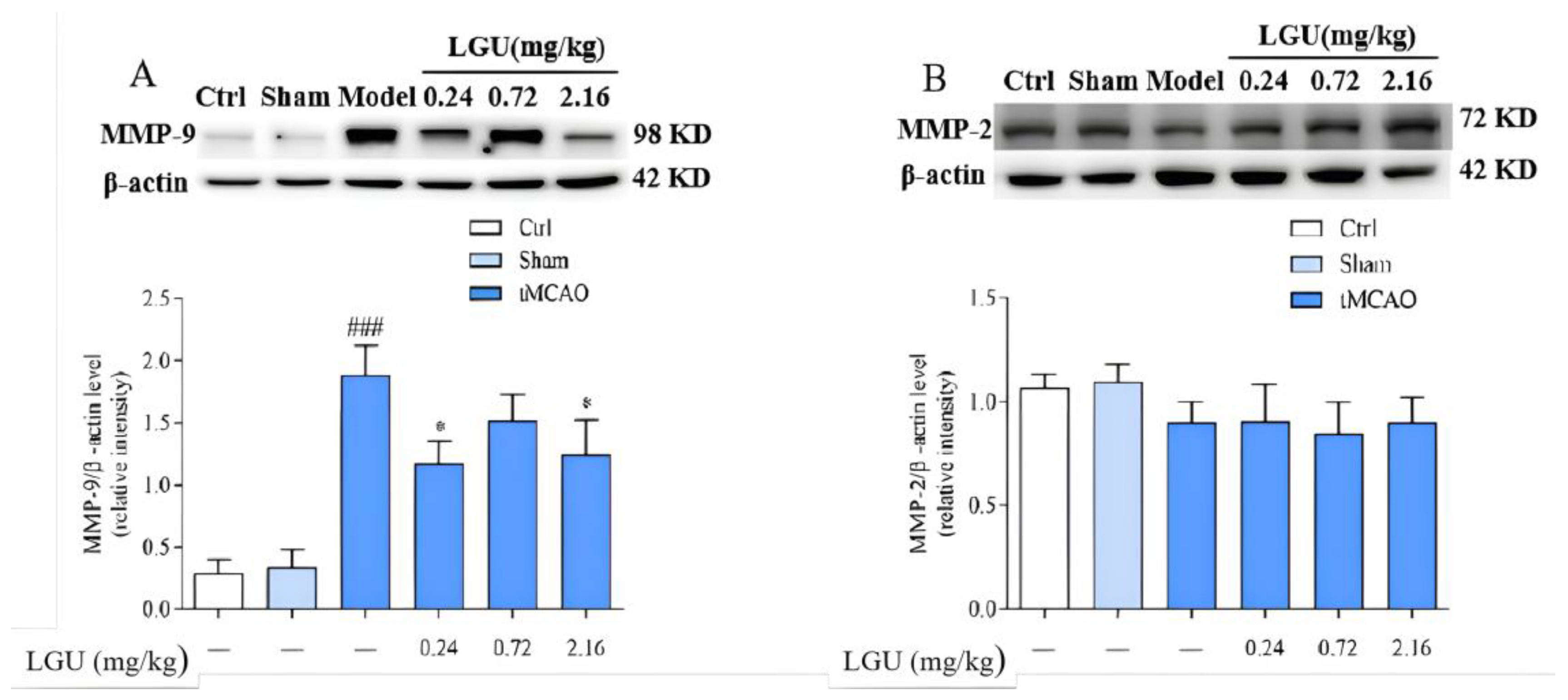 Biomedicines 12 01366 g010