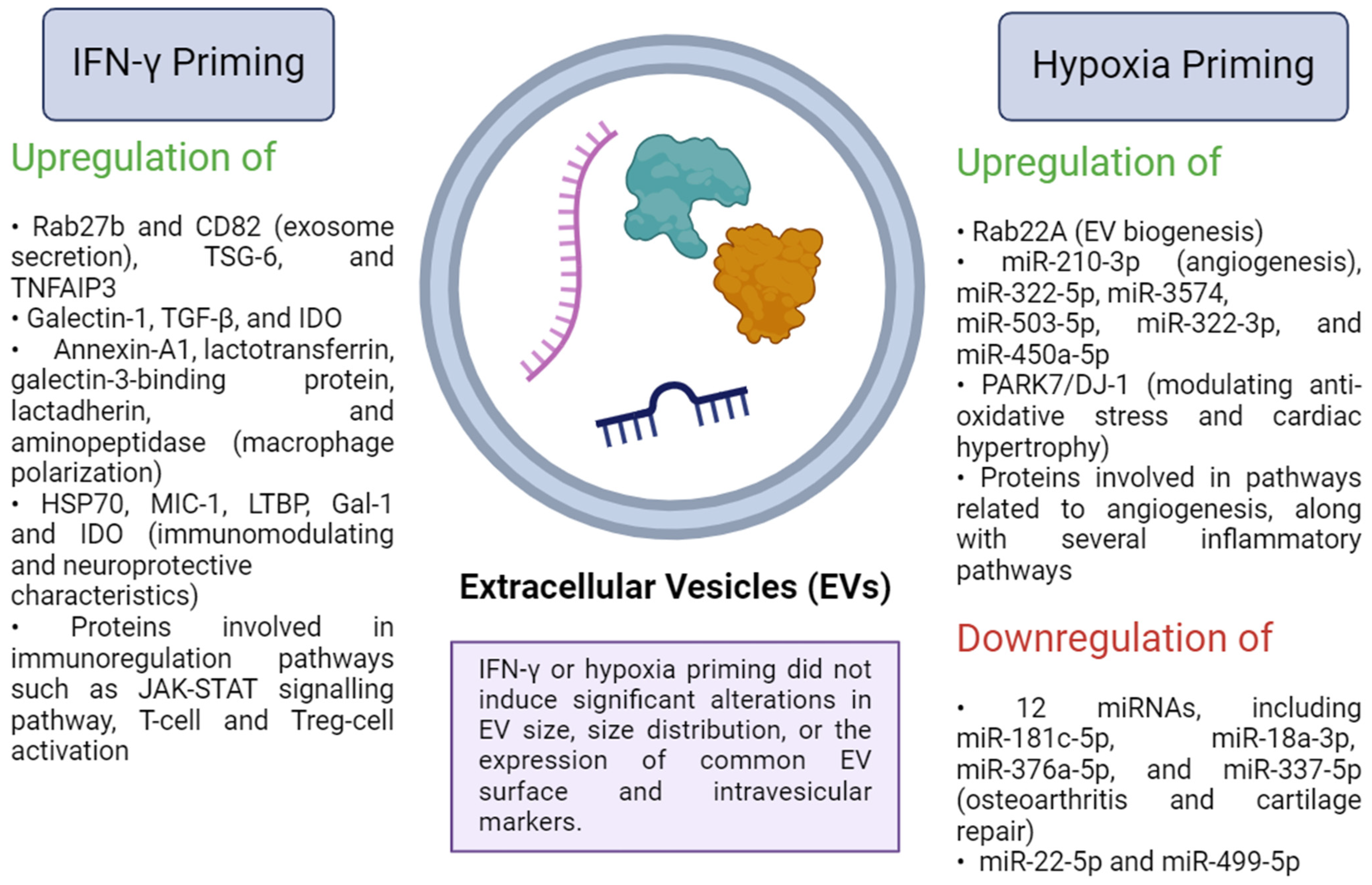 Biomedicines 12 01369 g001