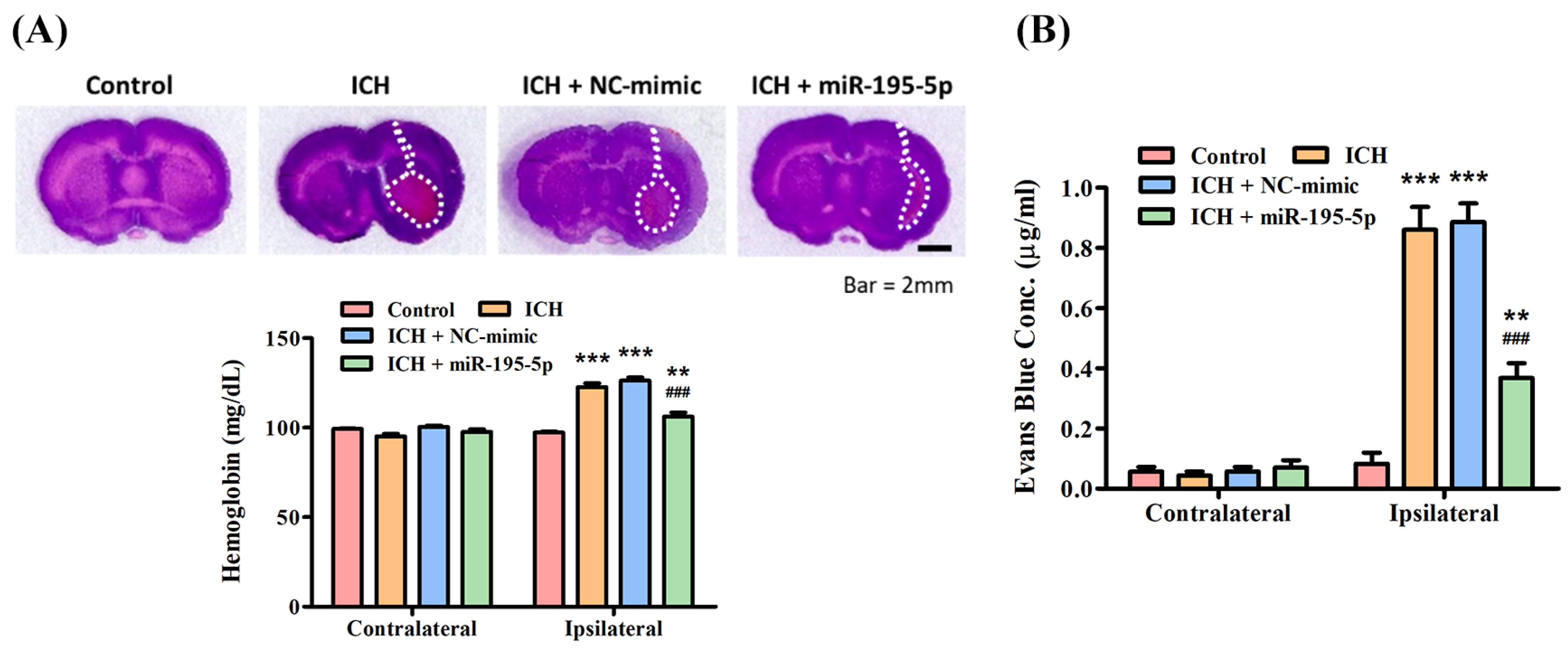 Biomedicines 12 01373 g003