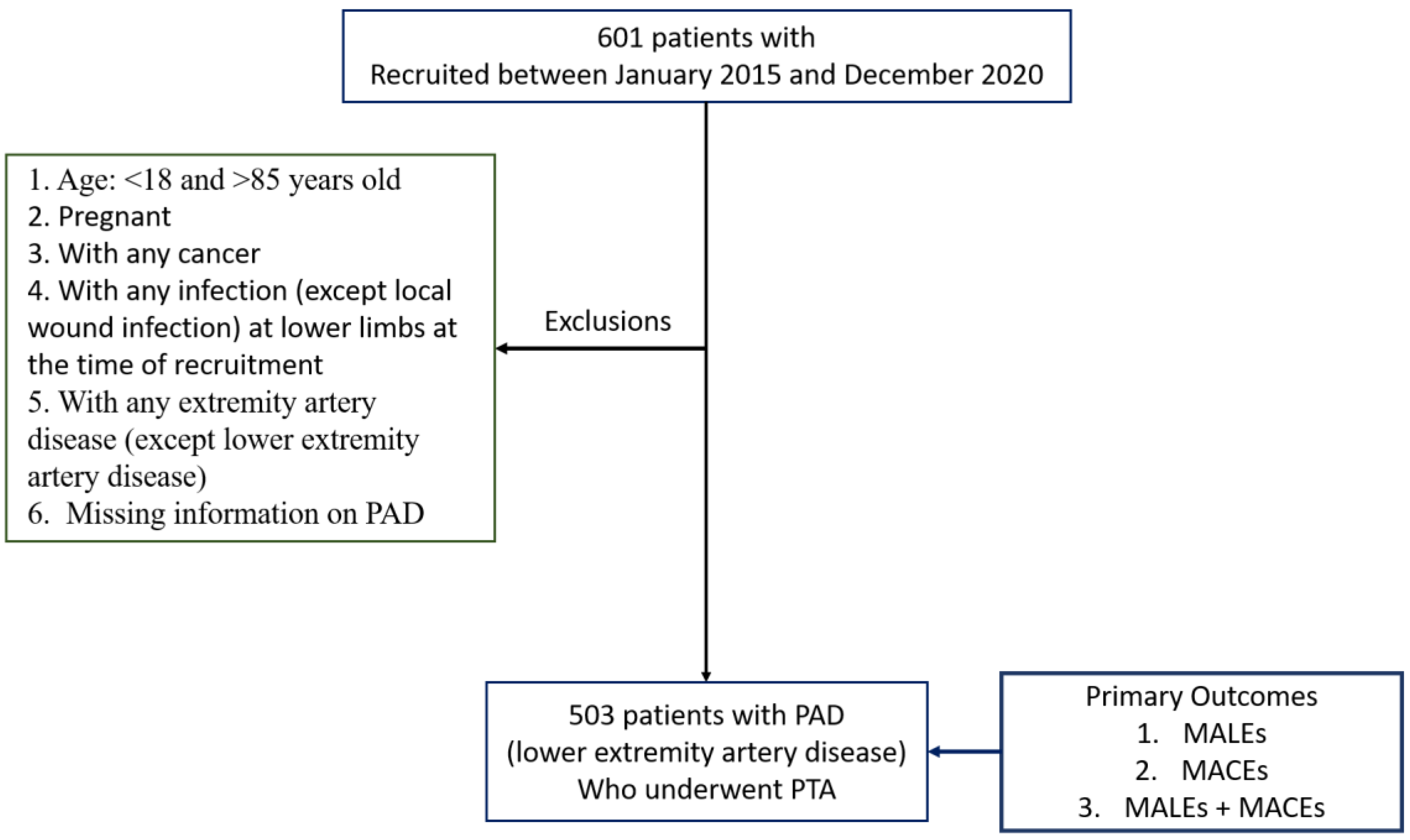 Biomedicines 12 01374 g001