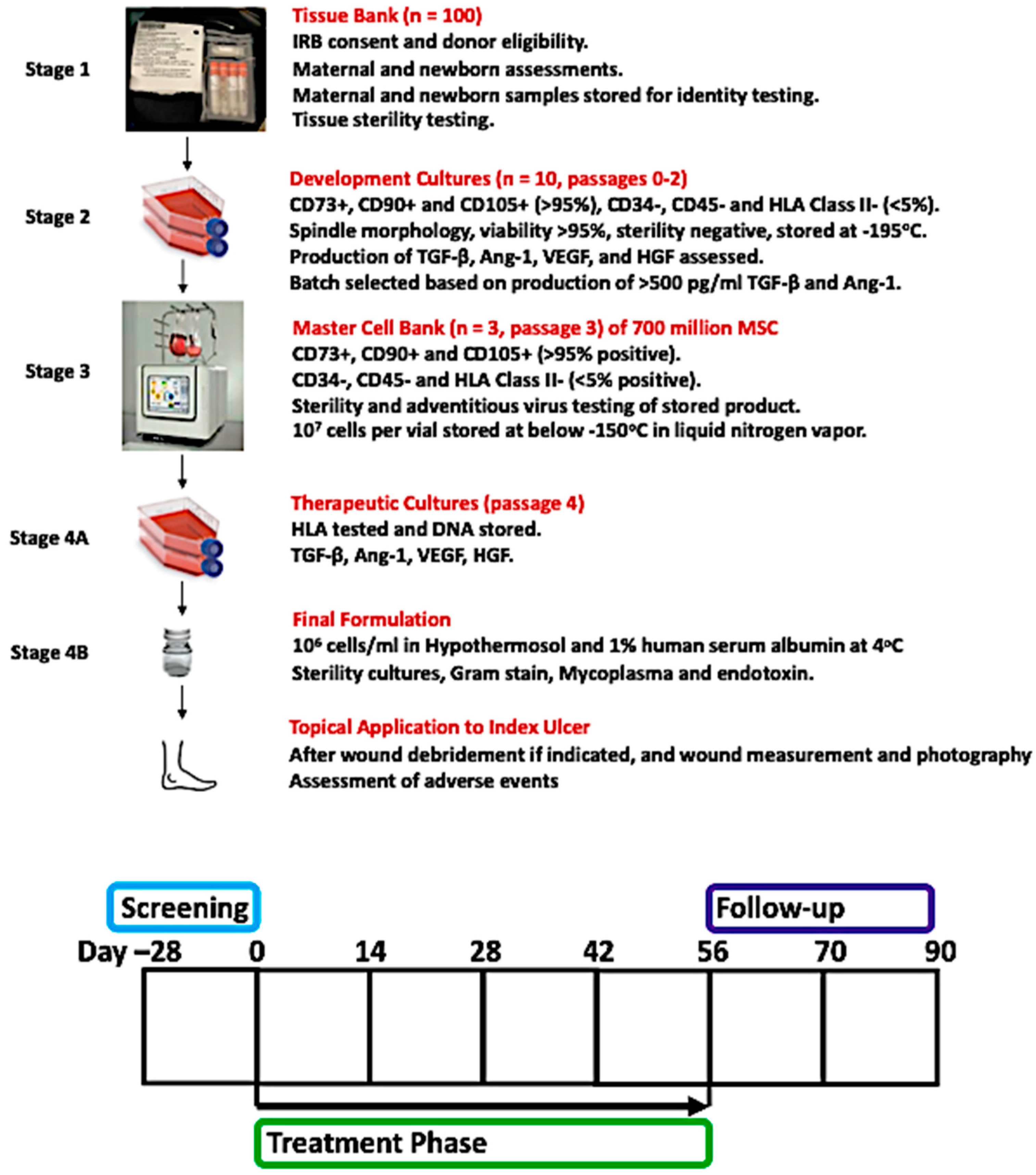 Biomedicines 12 01375 g001