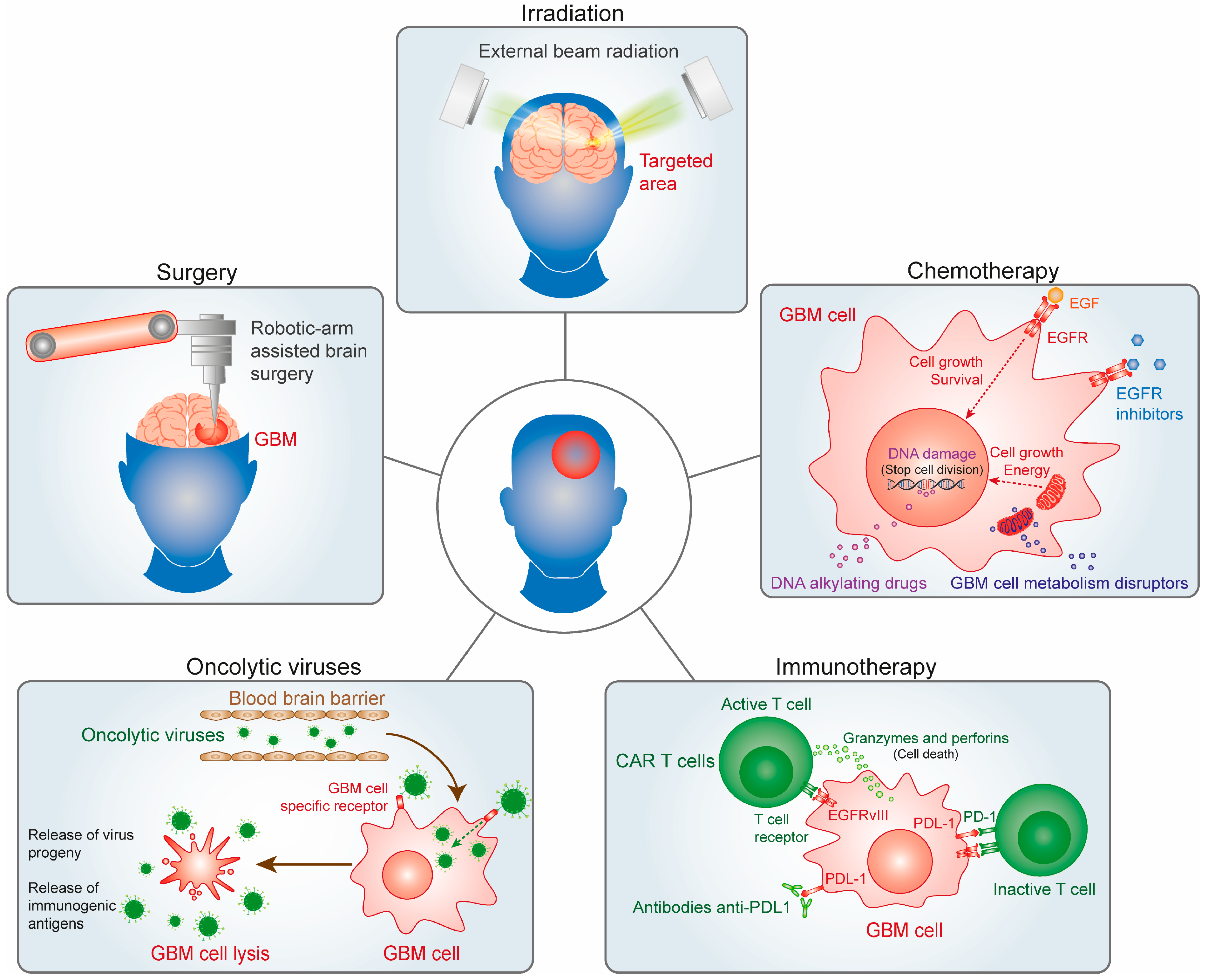 Biomedicines 12 01376 g001