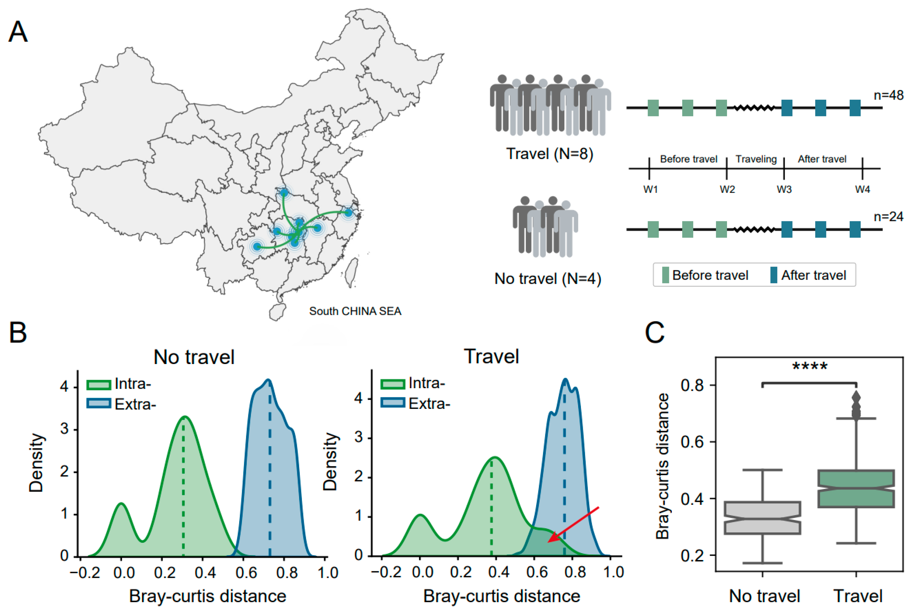 Biomedicines 12 01378 g001