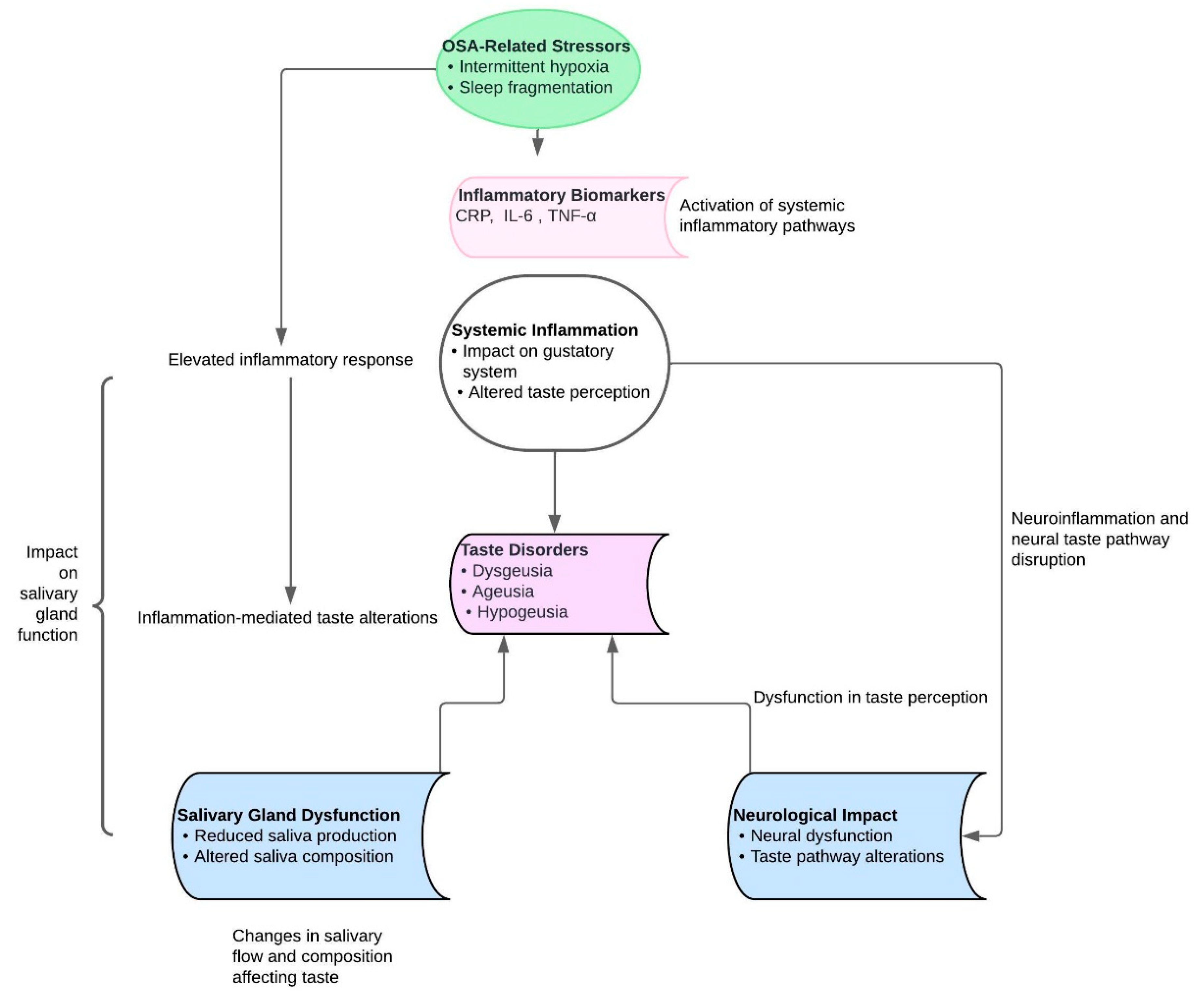 Biomedicines 12 01382 g003