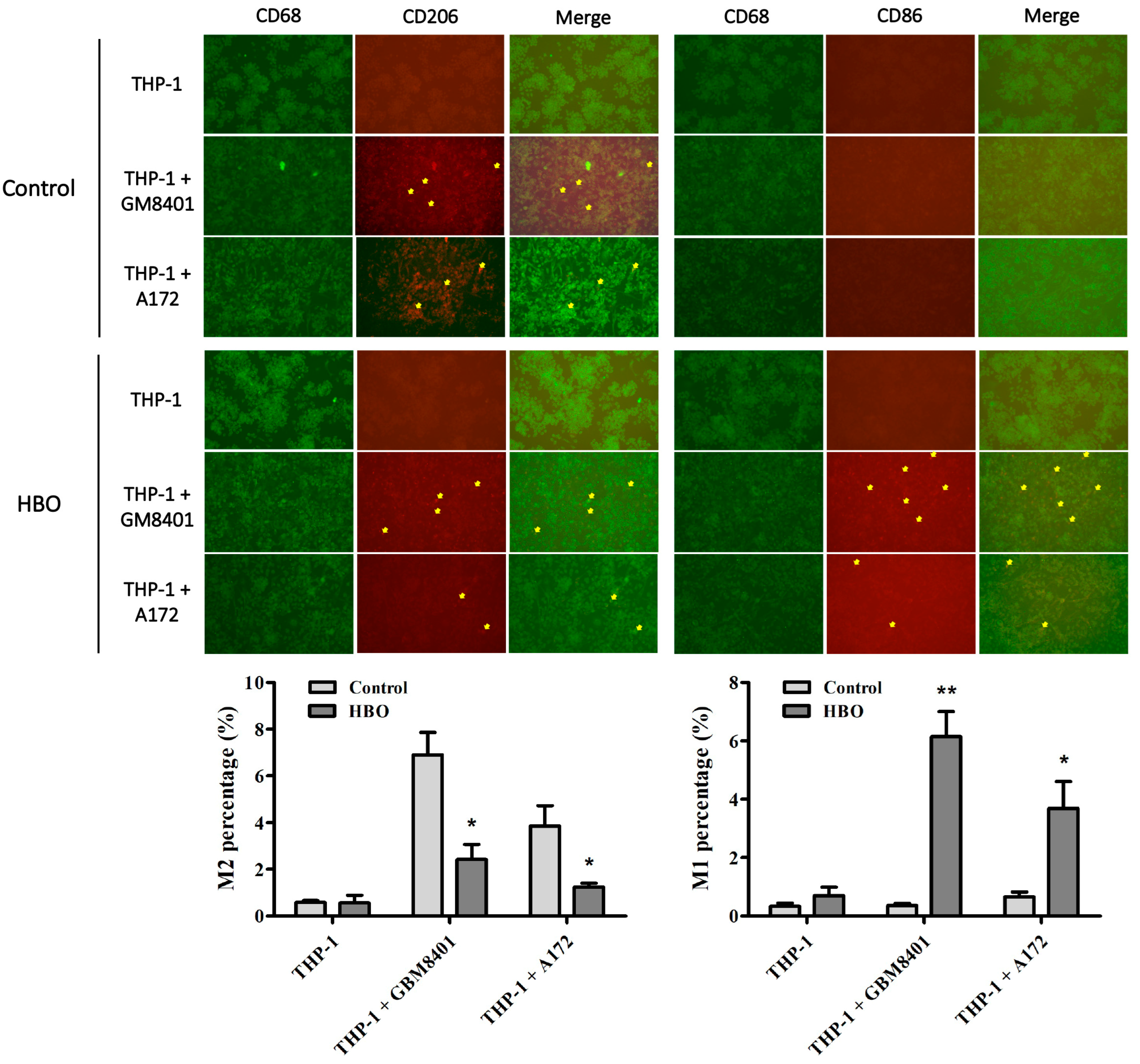 Biomedicines 12 01383 g004