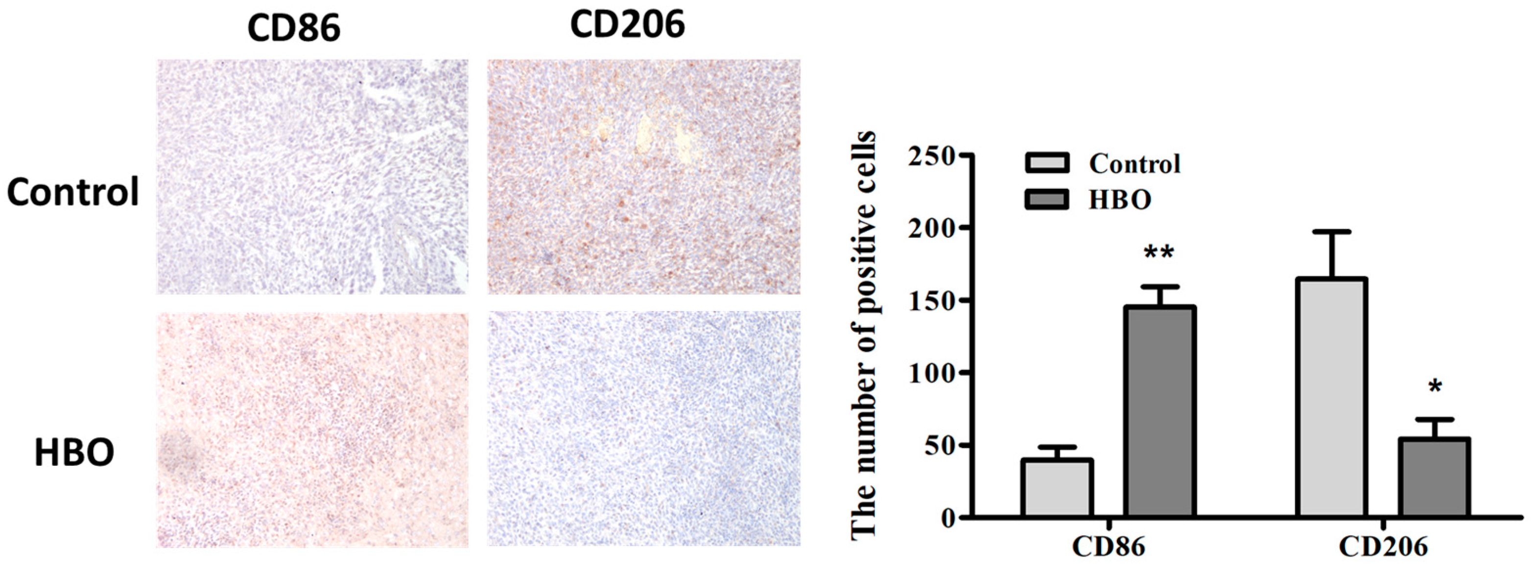 Biomedicines 12 01383 g006