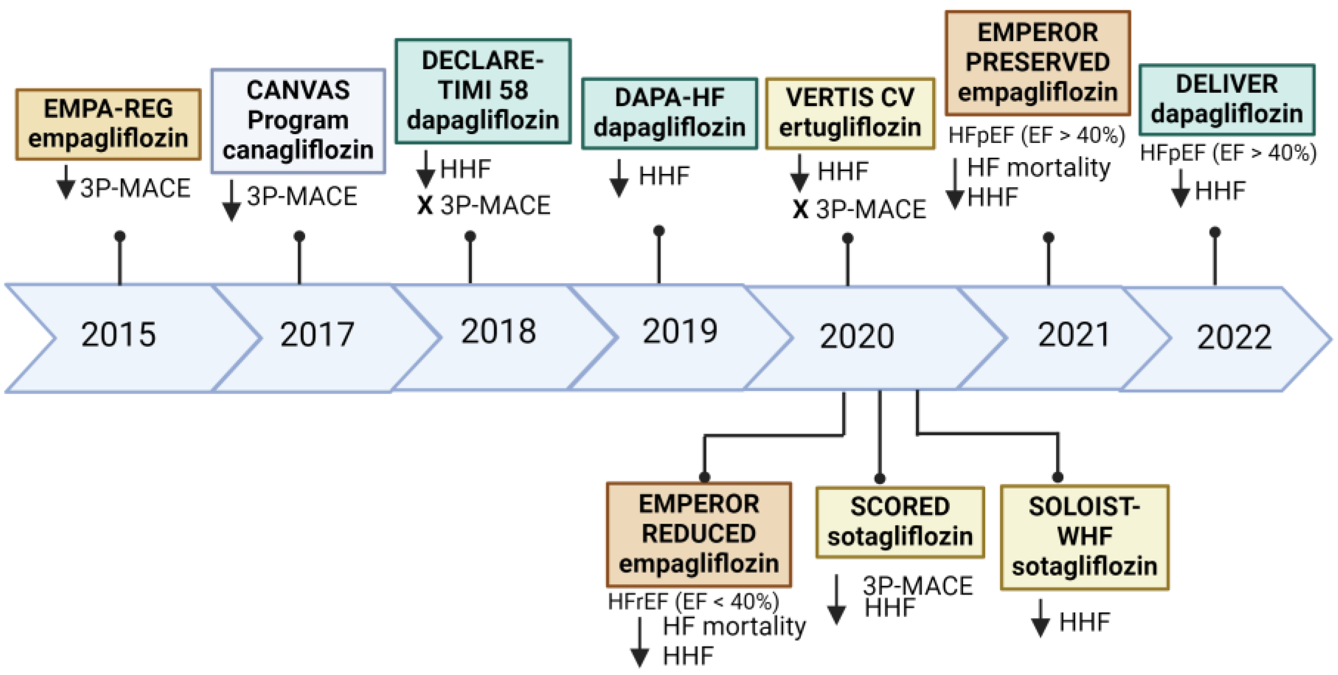 Biomedicines 12 01386 g001