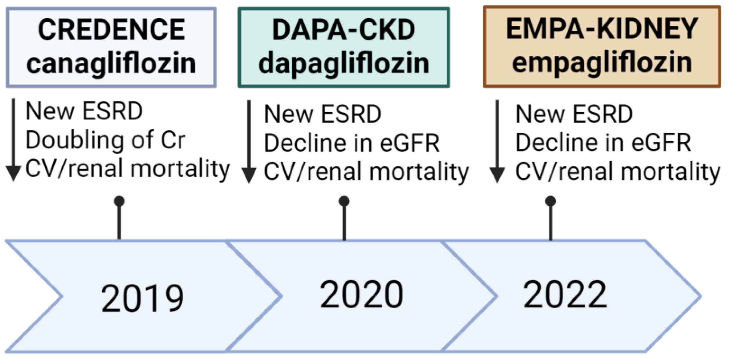 Biomedicines 12 01386 g003
