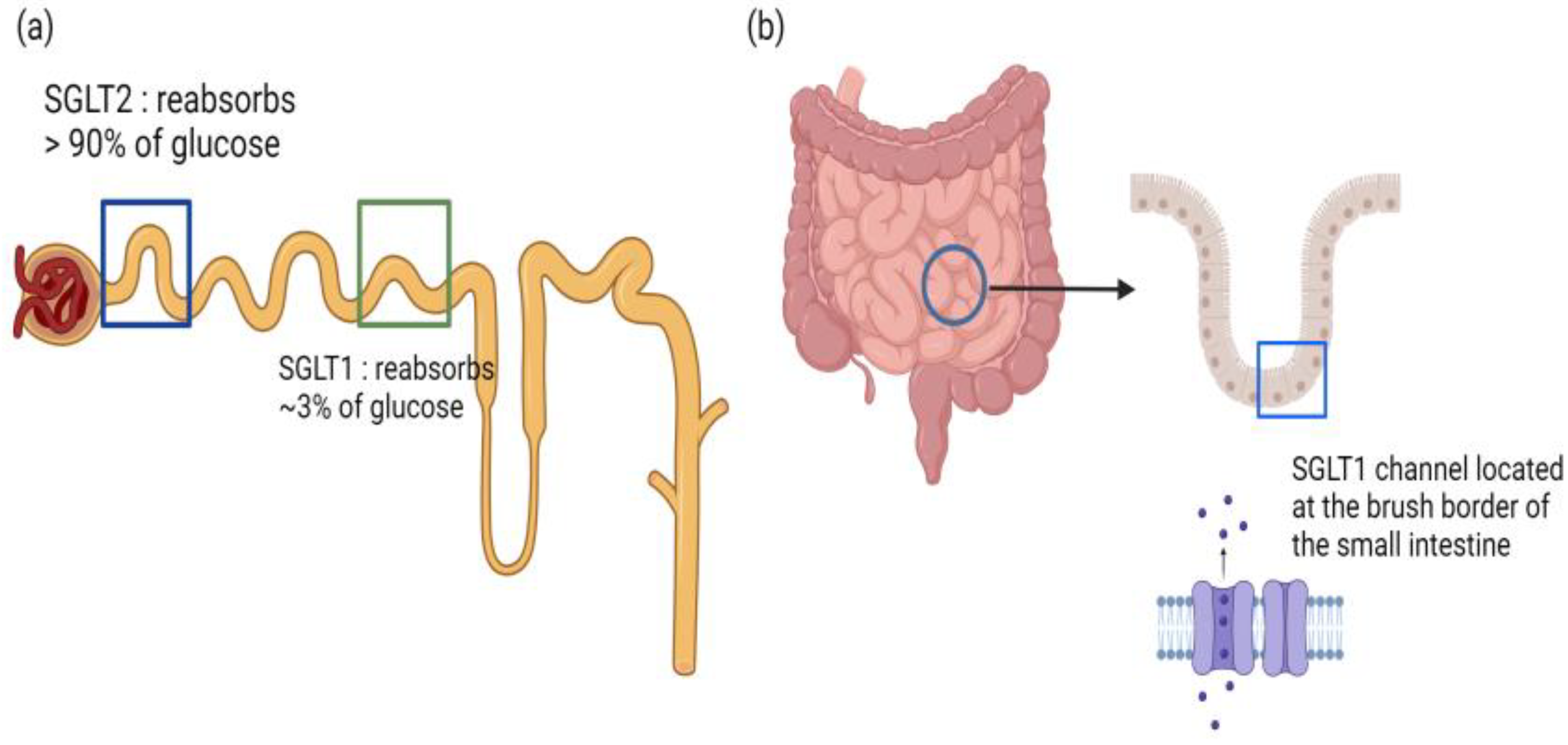 Biomedicines 12 01386 g005