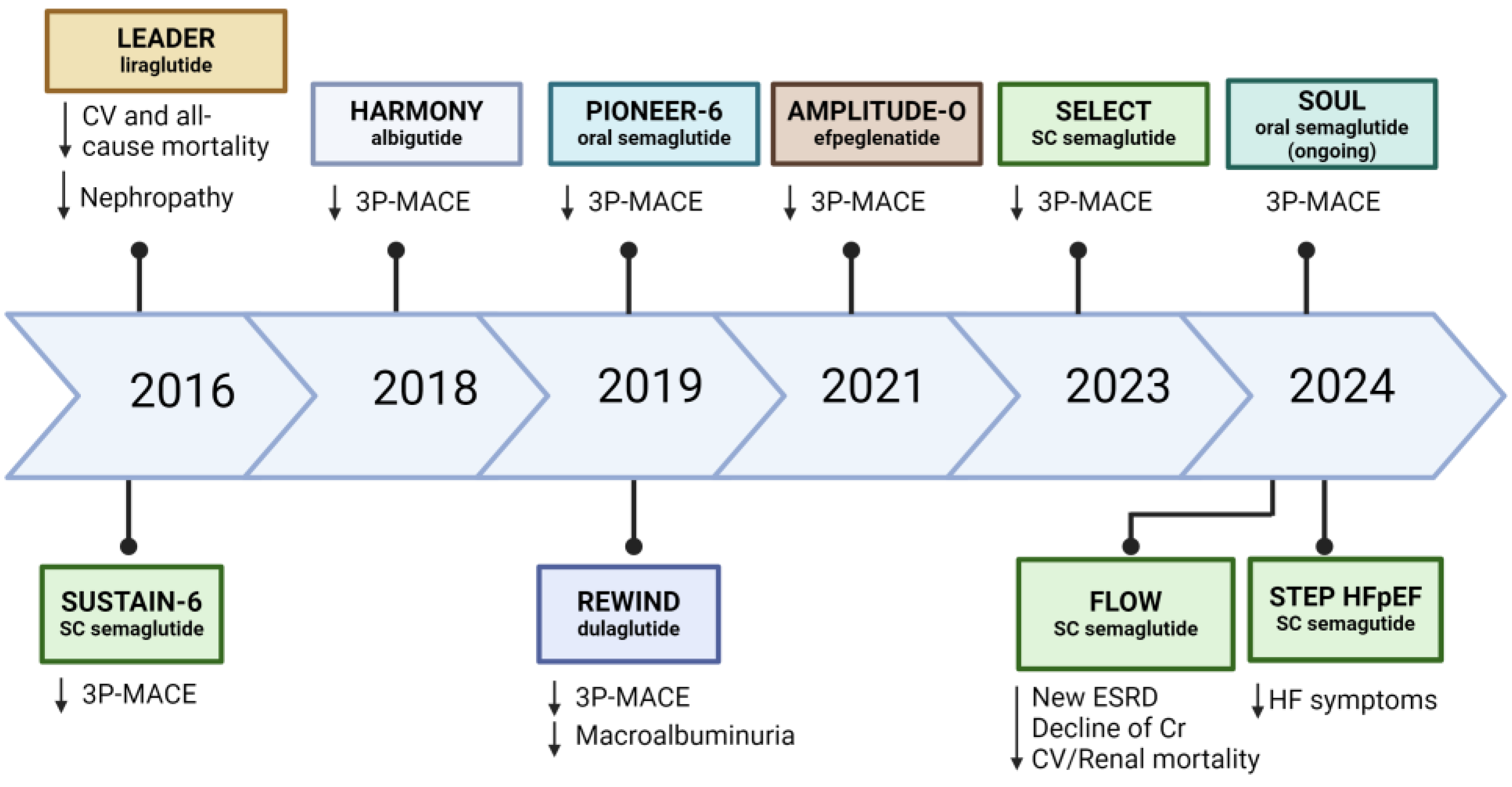 Biomedicines 12 01386 g006