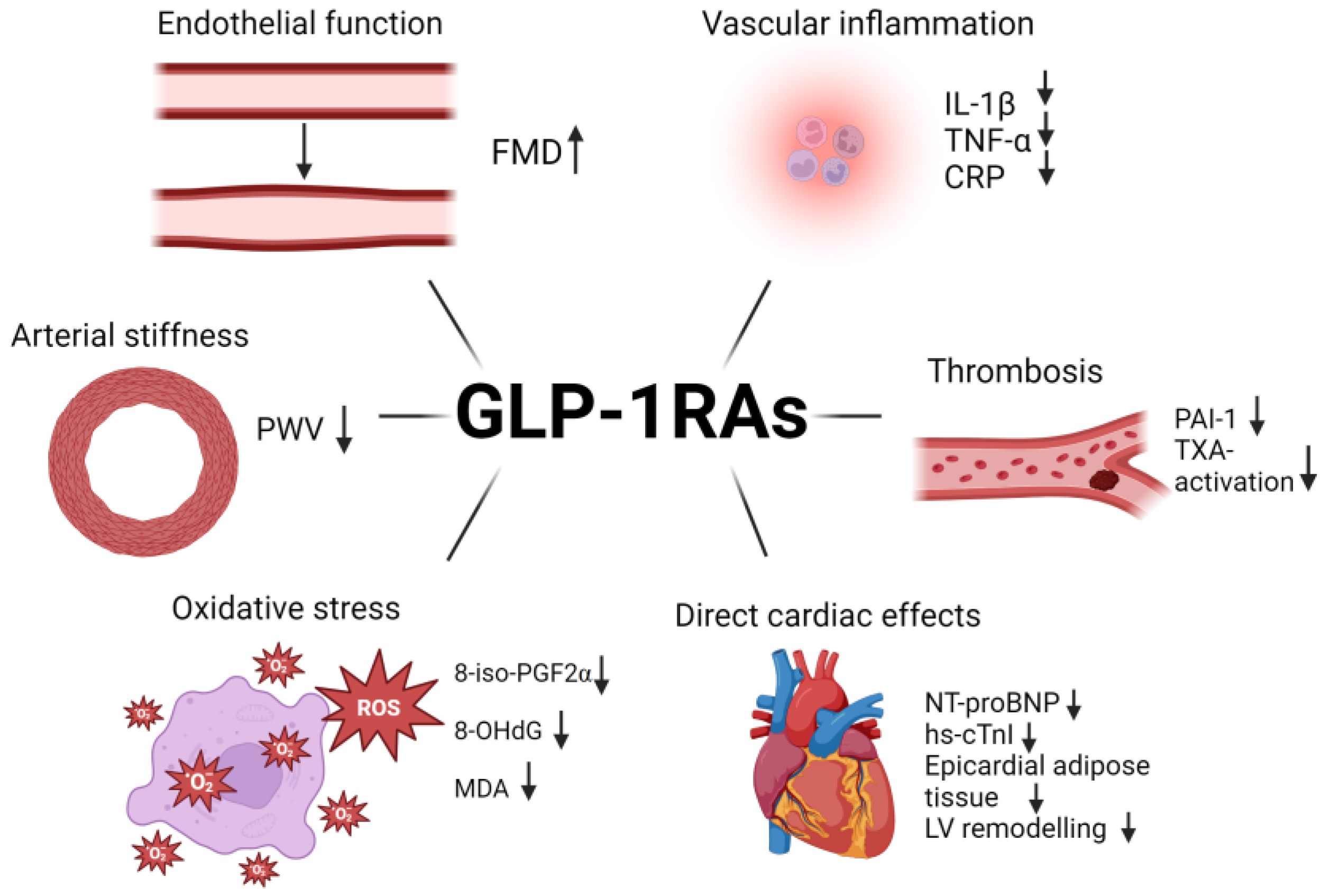 Biomedicines 12 01386 g007