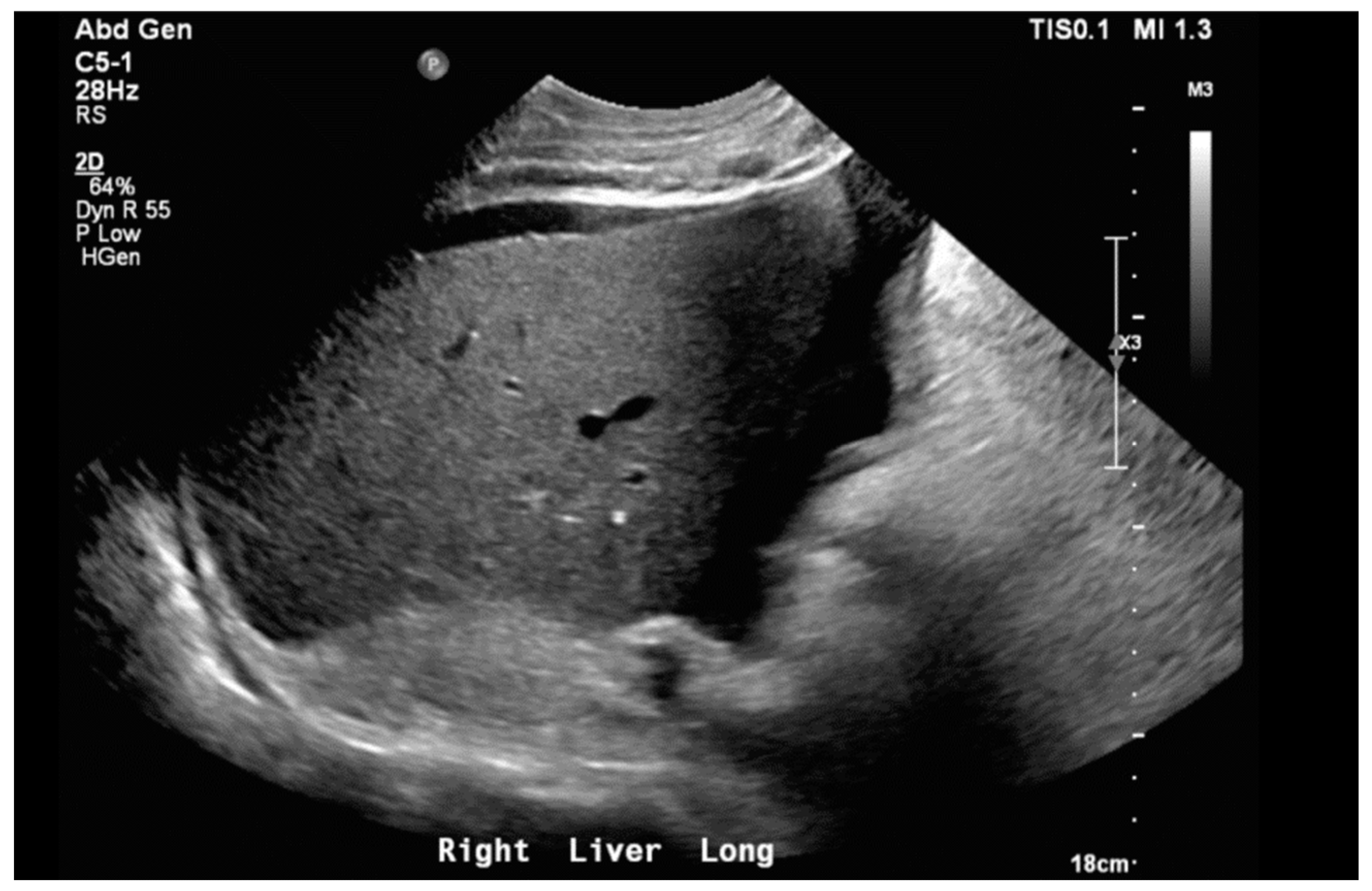 Biomedicines 12 01389 g001