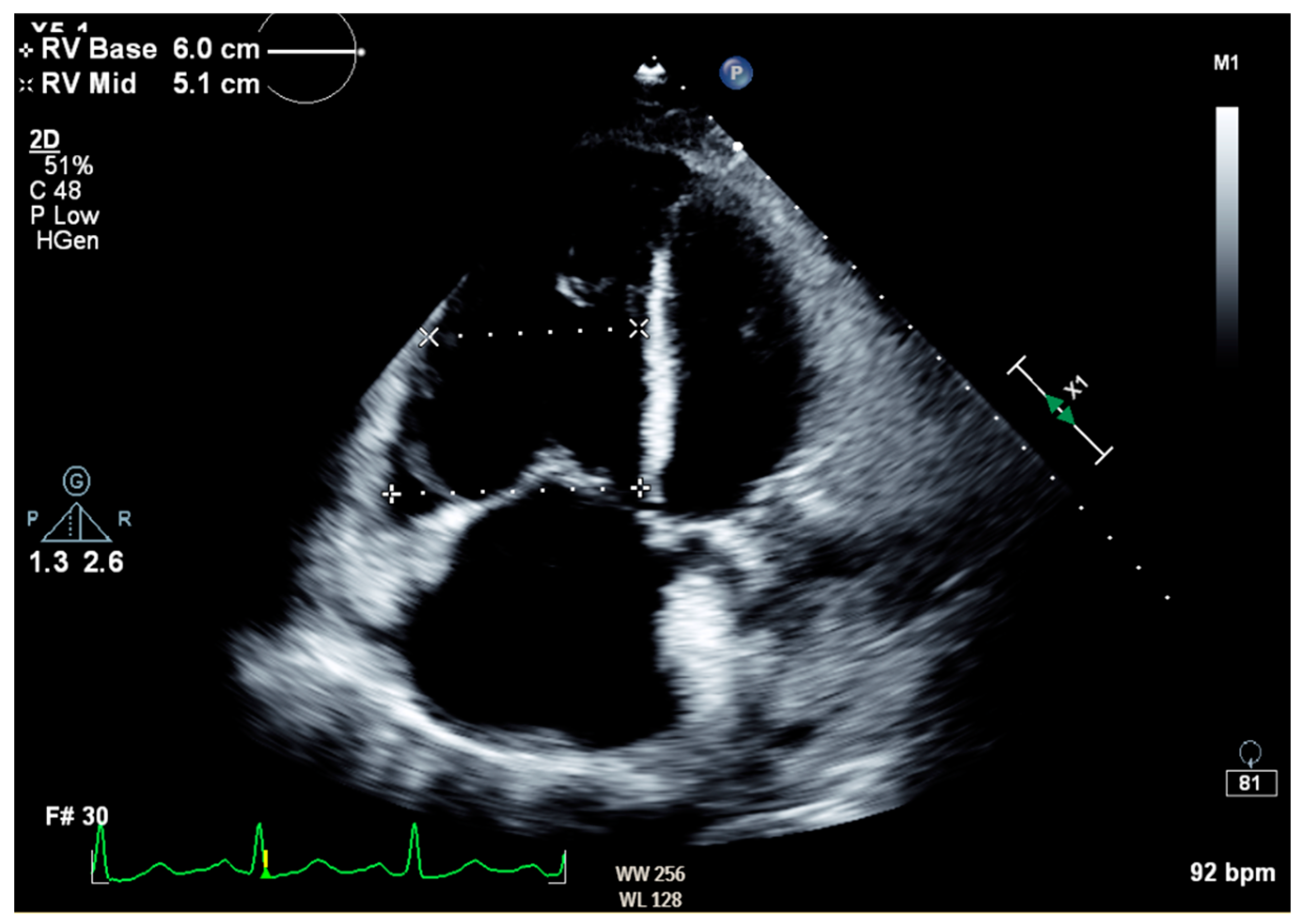 Biomedicines 12 01389 g002