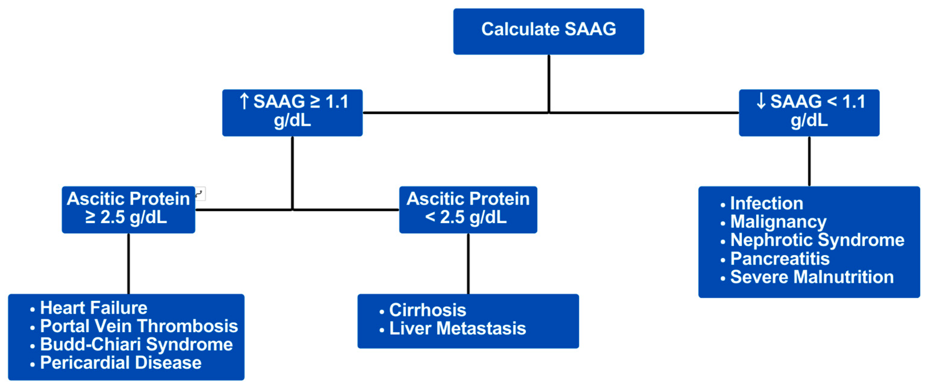 Biomedicines 12 01389 g004