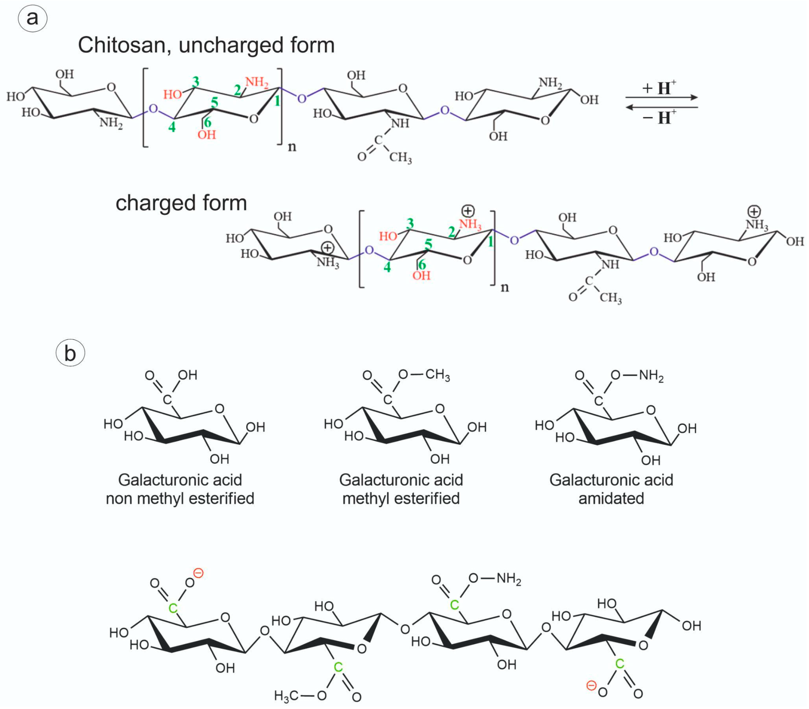 Biomedicines 12 01393 g001