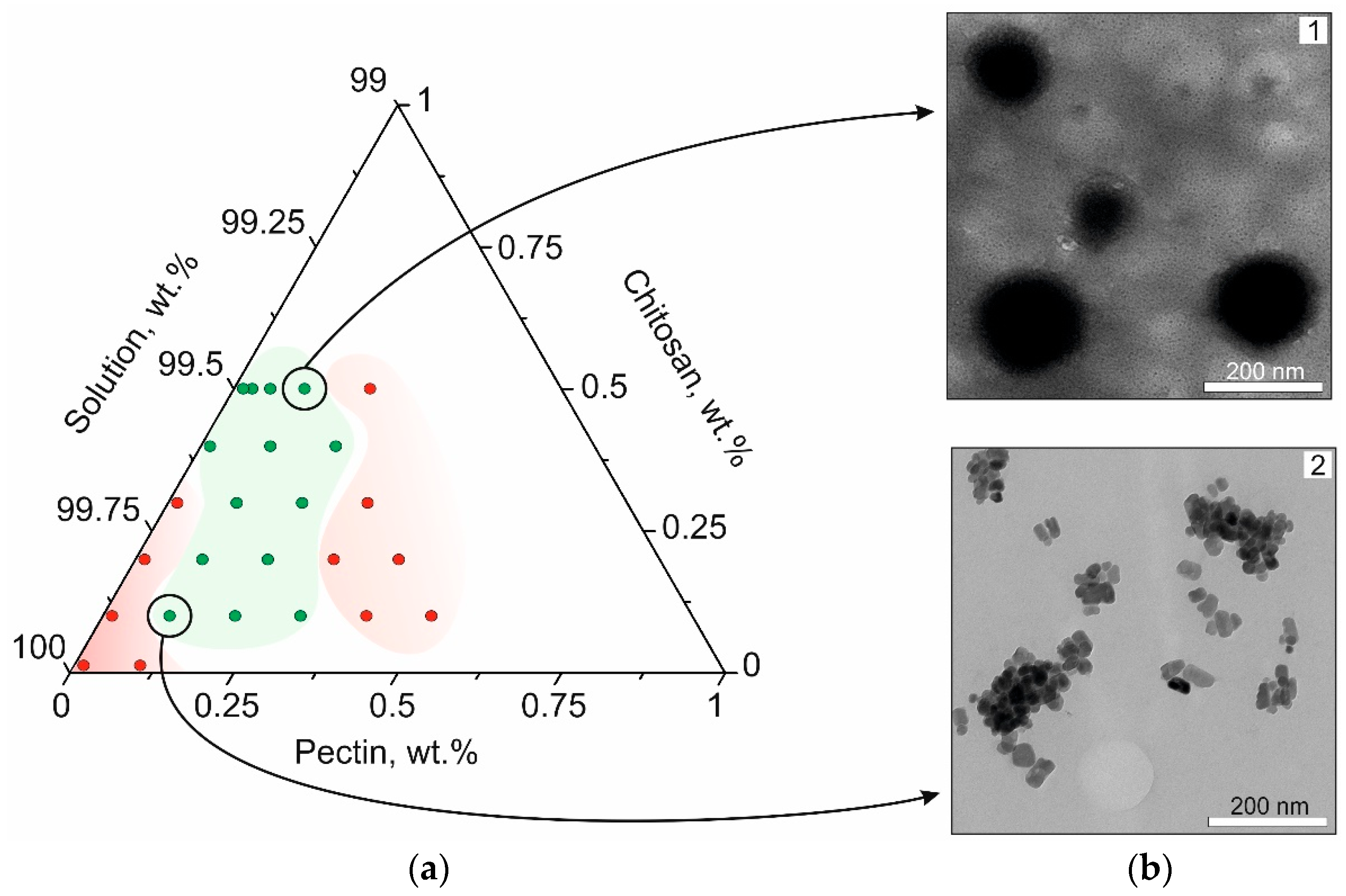 Biomedicines 12 01393 g002