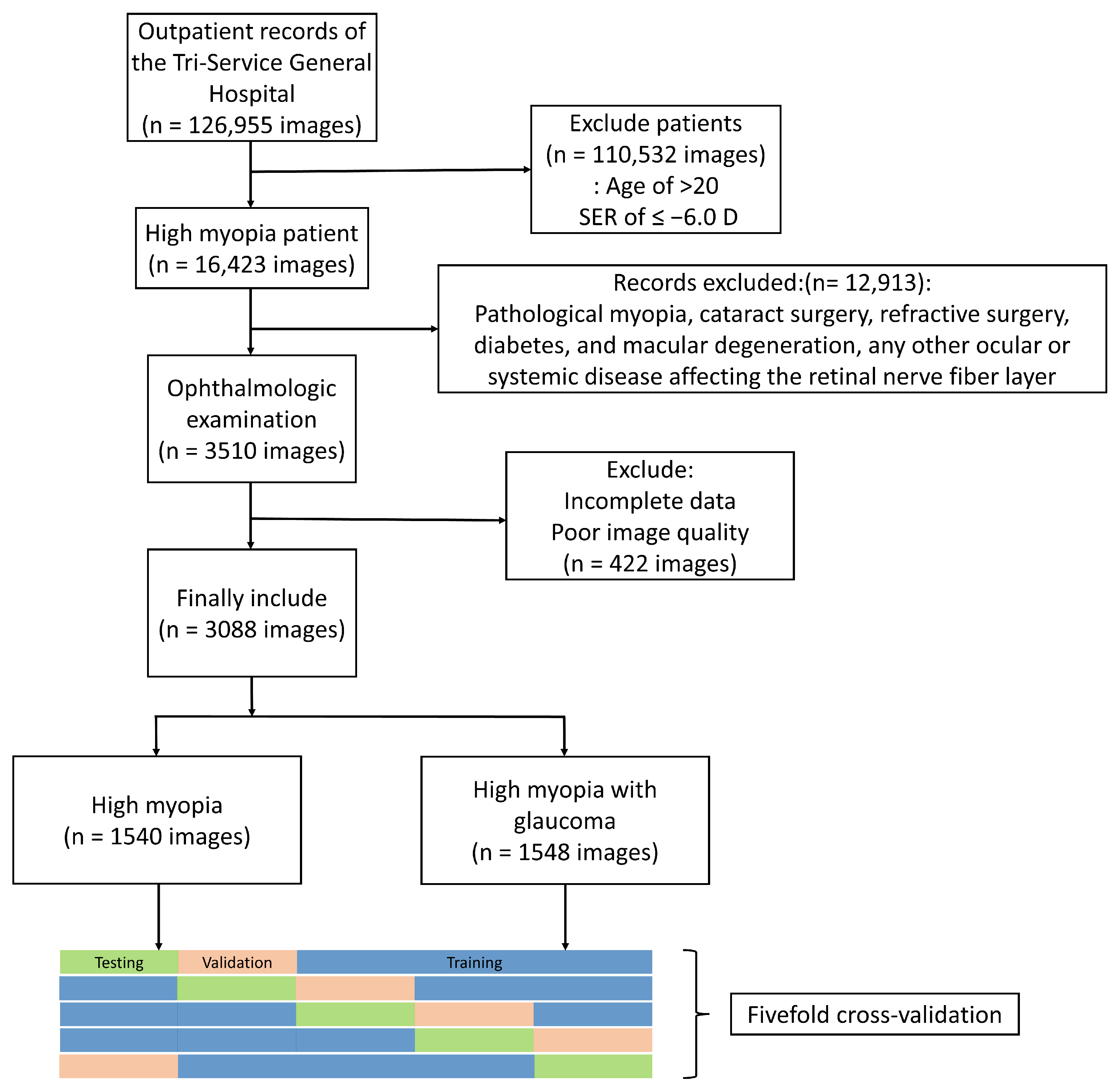 Biomedicines 12 01394 g001