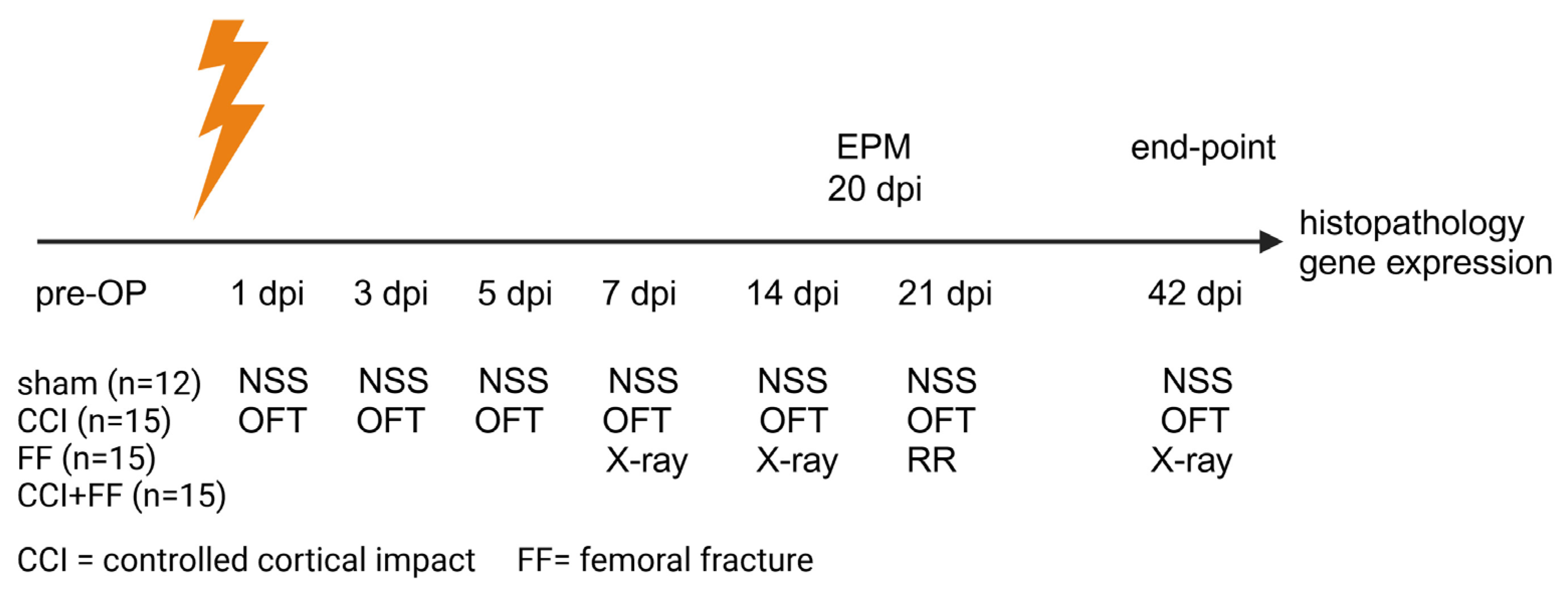 Biomedicines 12 01399 g001