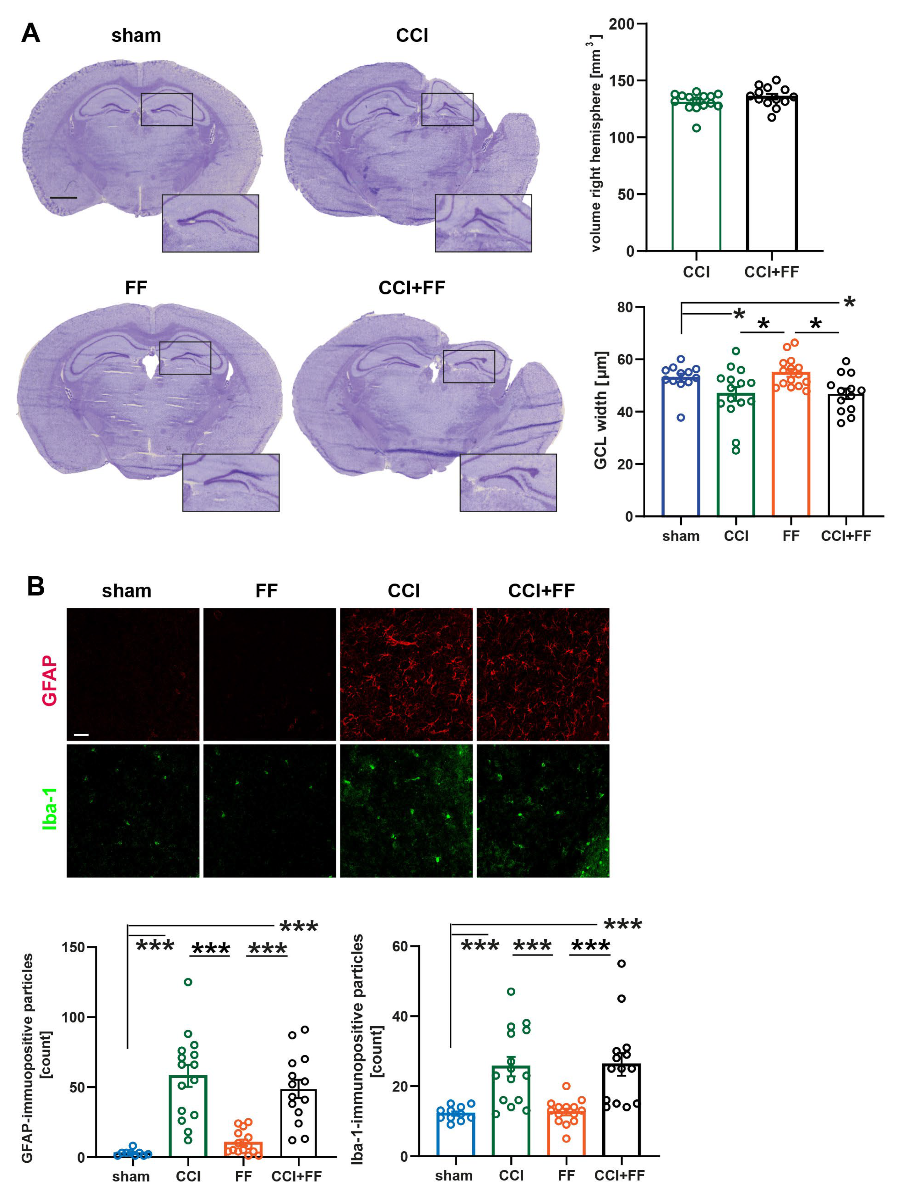 Biomedicines 12 01399 g003
