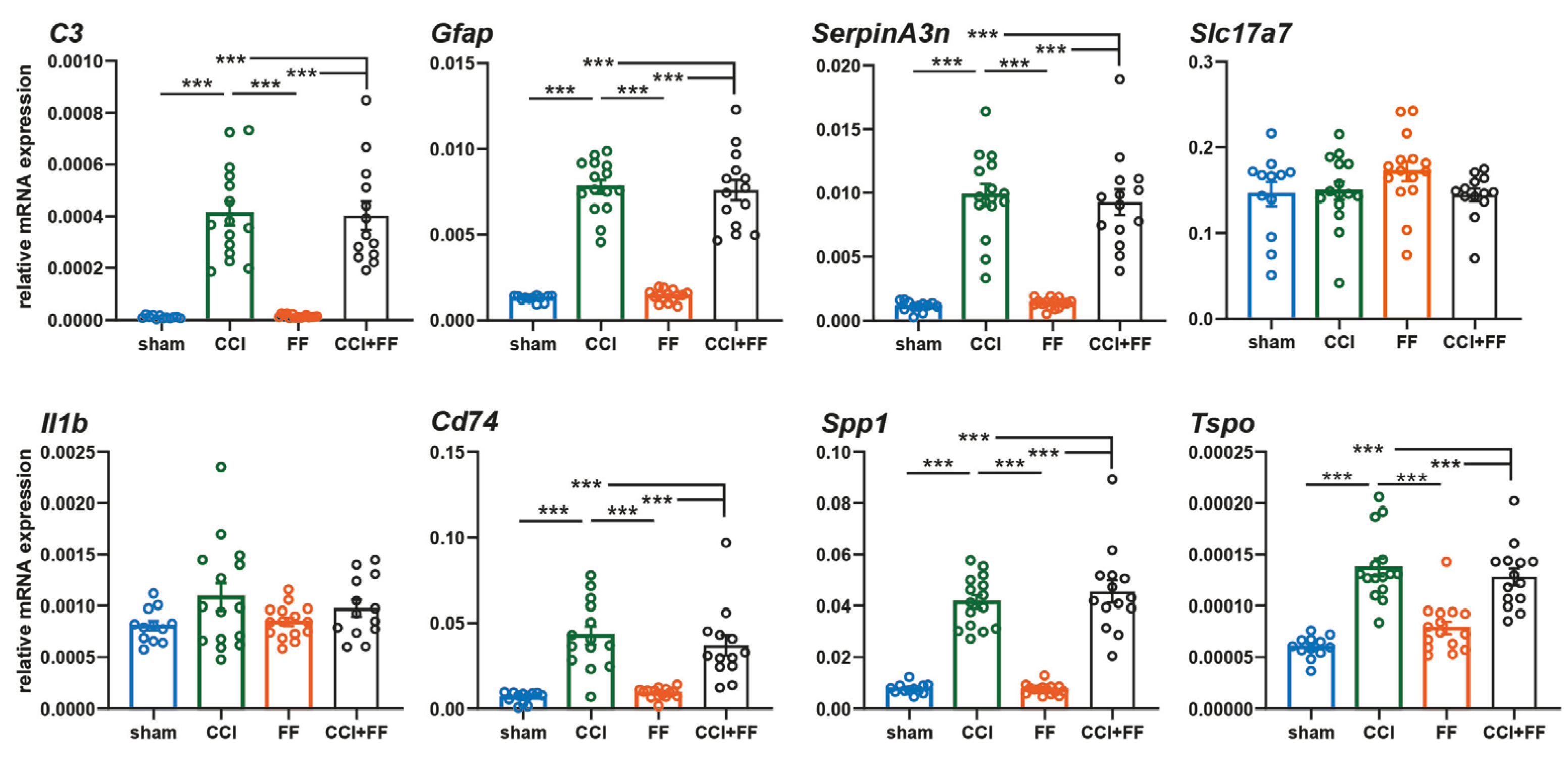 Biomedicines 12 01399 g004
