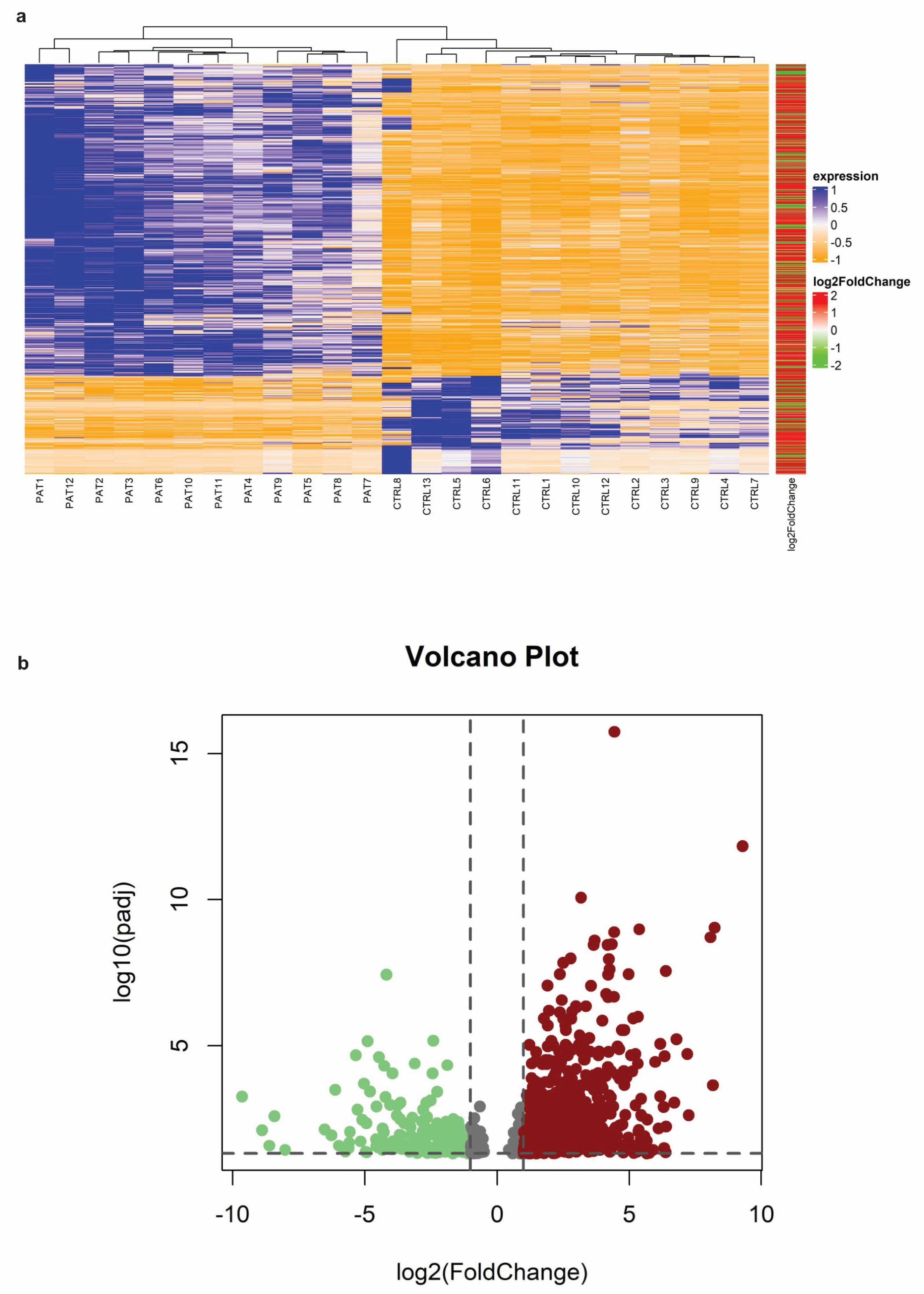 Biomedicines 12 01402 g001
