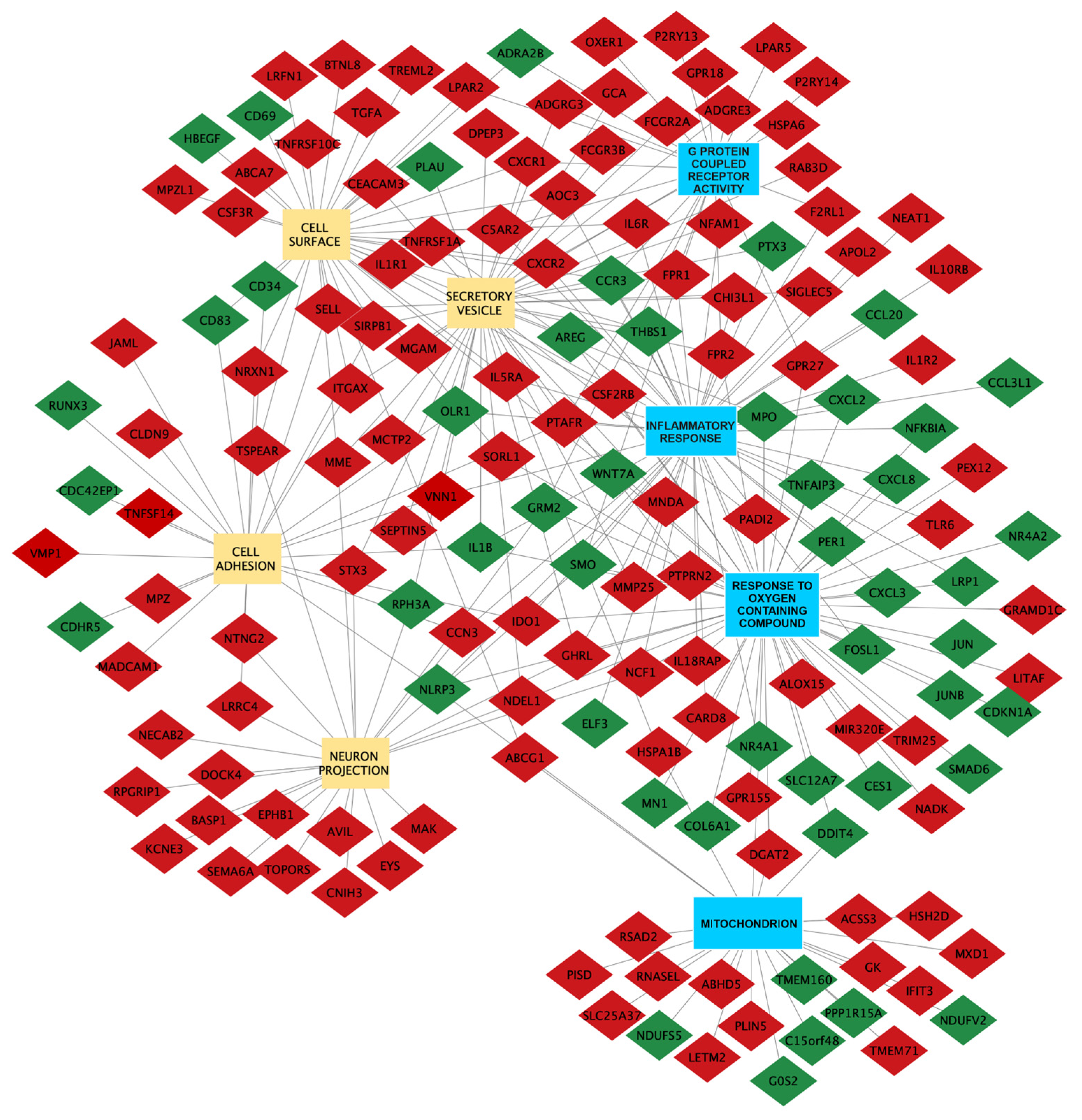 Biomedicines 12 01402 g003