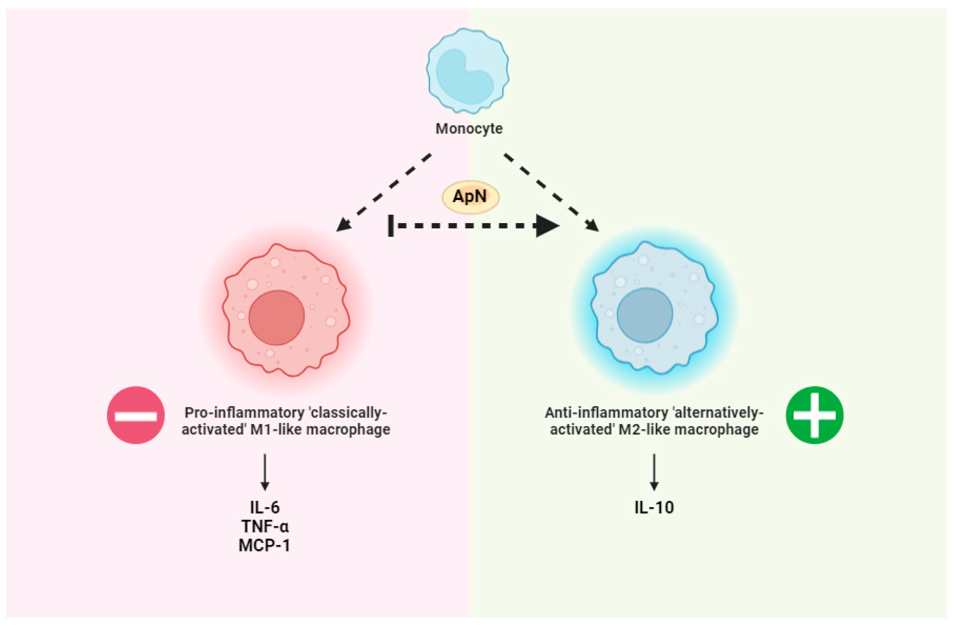 Biomedicines 12 01407 g001