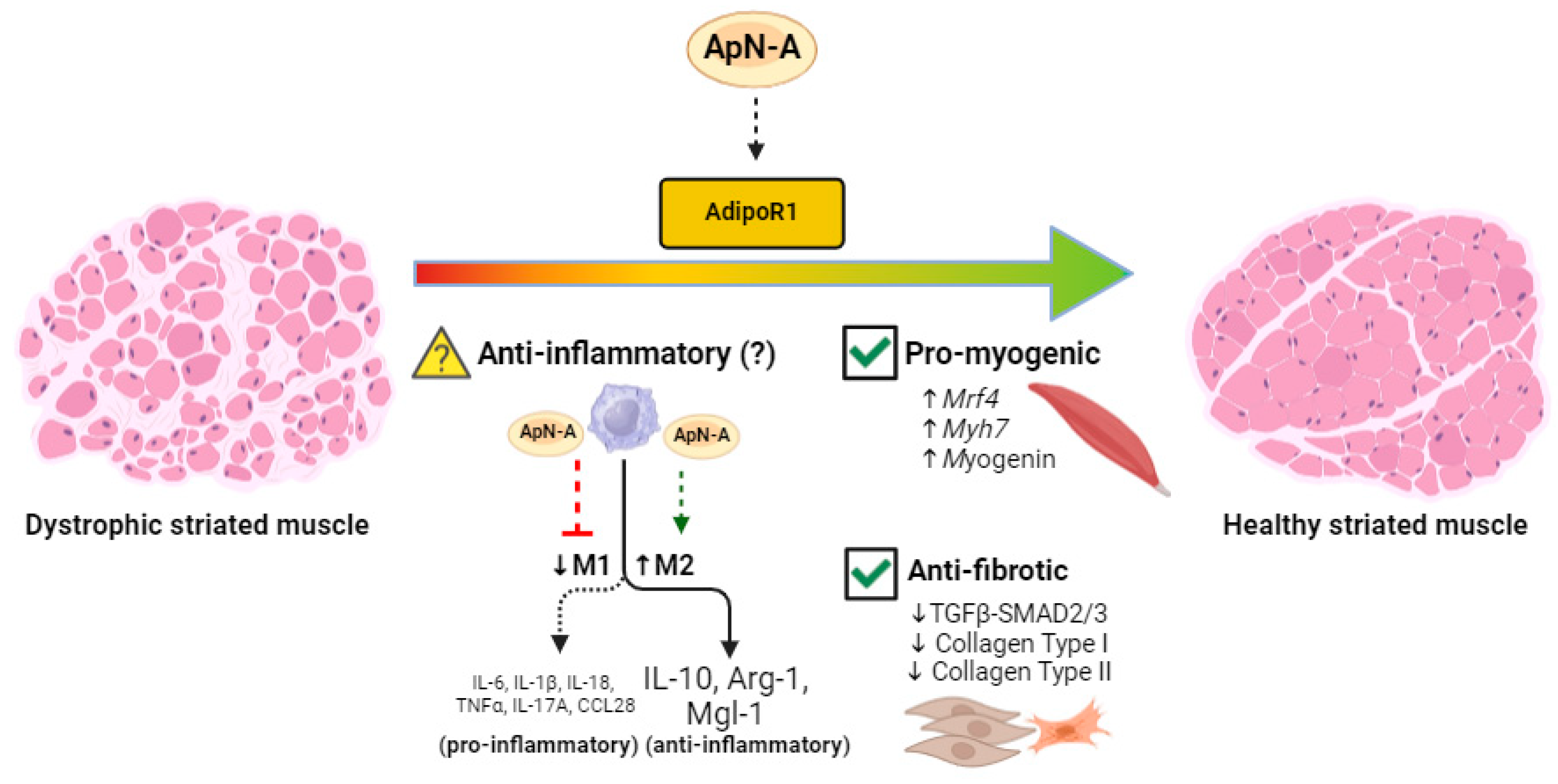 Biomedicines 12 01407 g002
