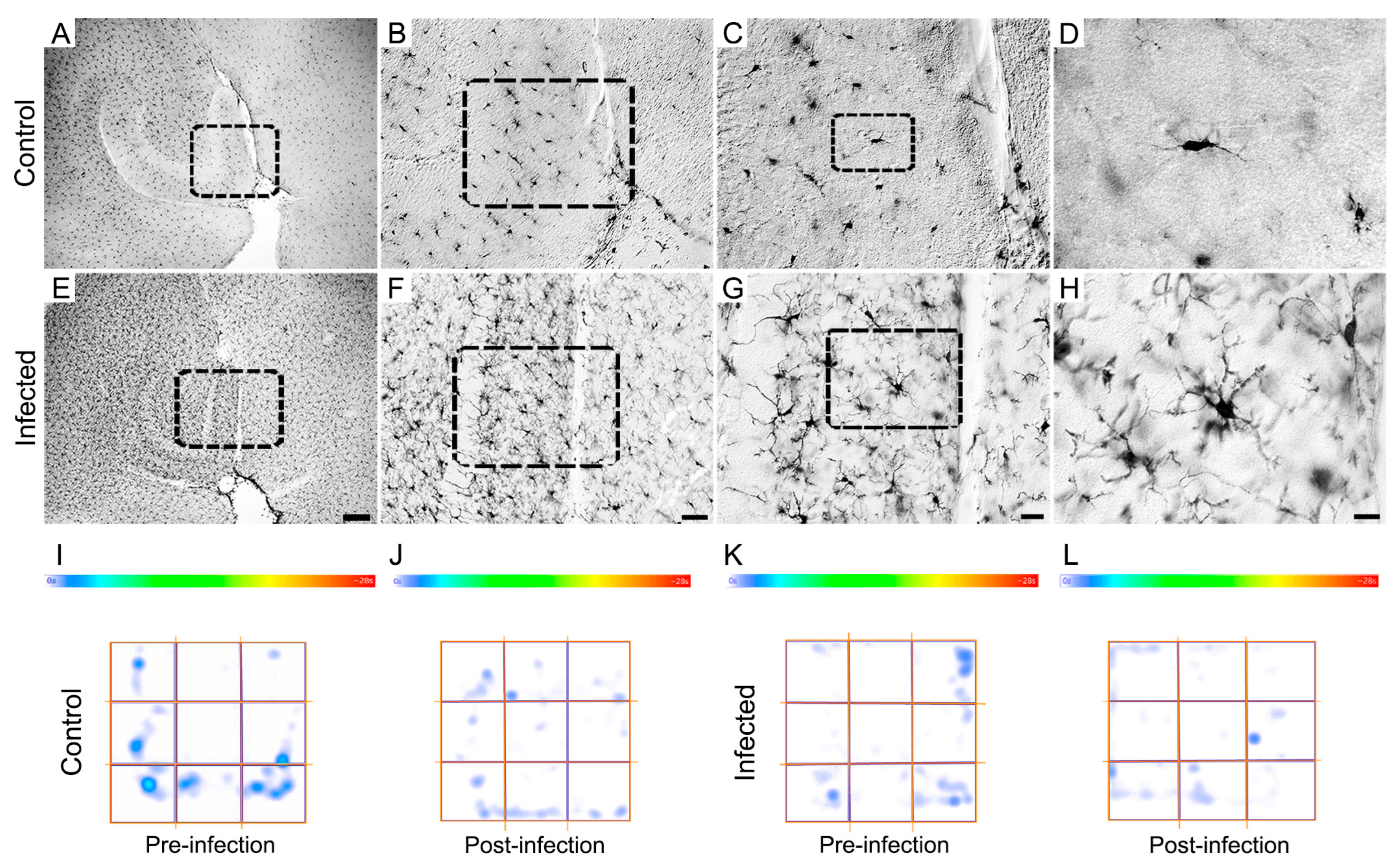 Biomedicines 12 01420 g009