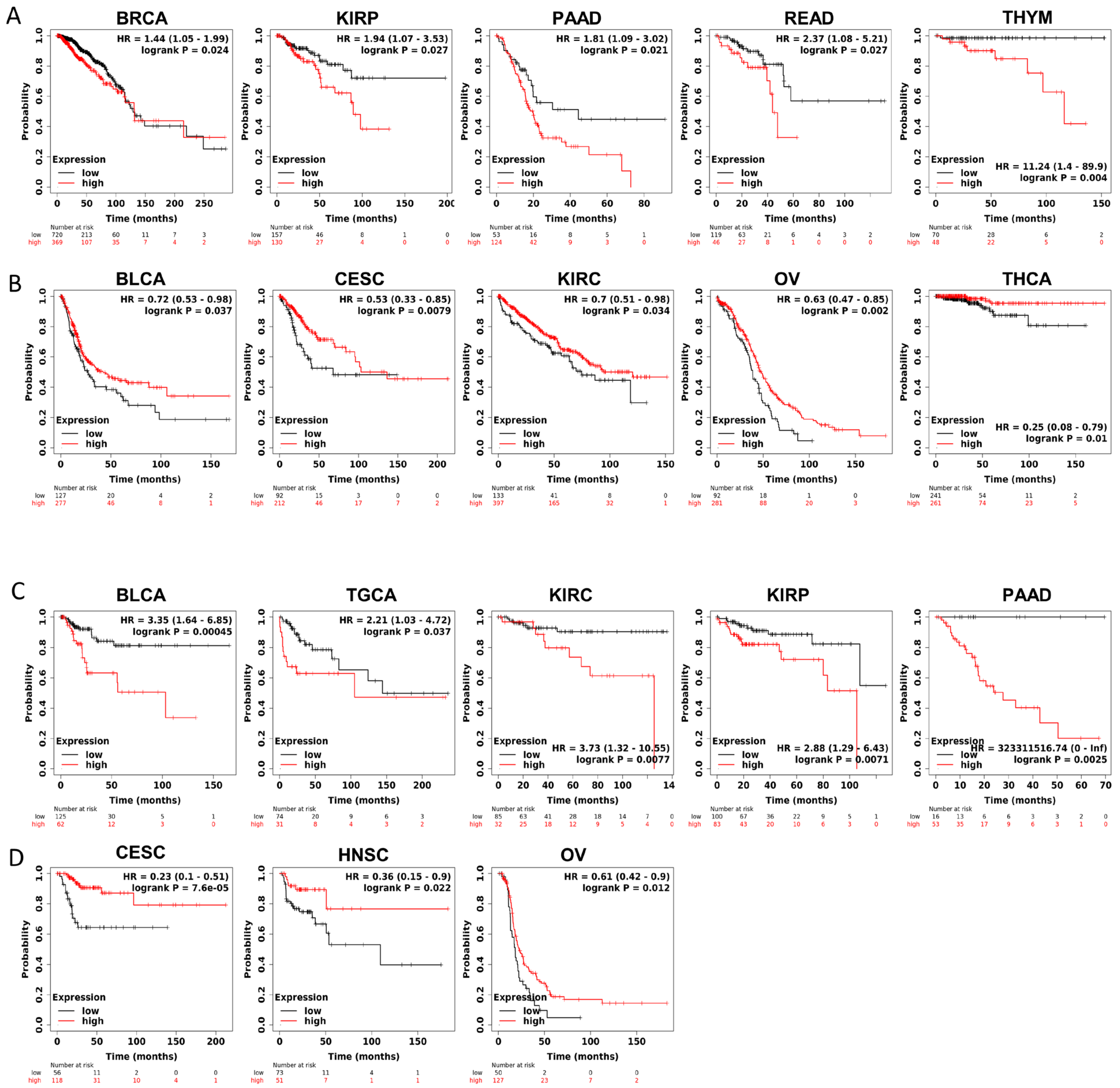 Biomedicines 12 01423 g003
