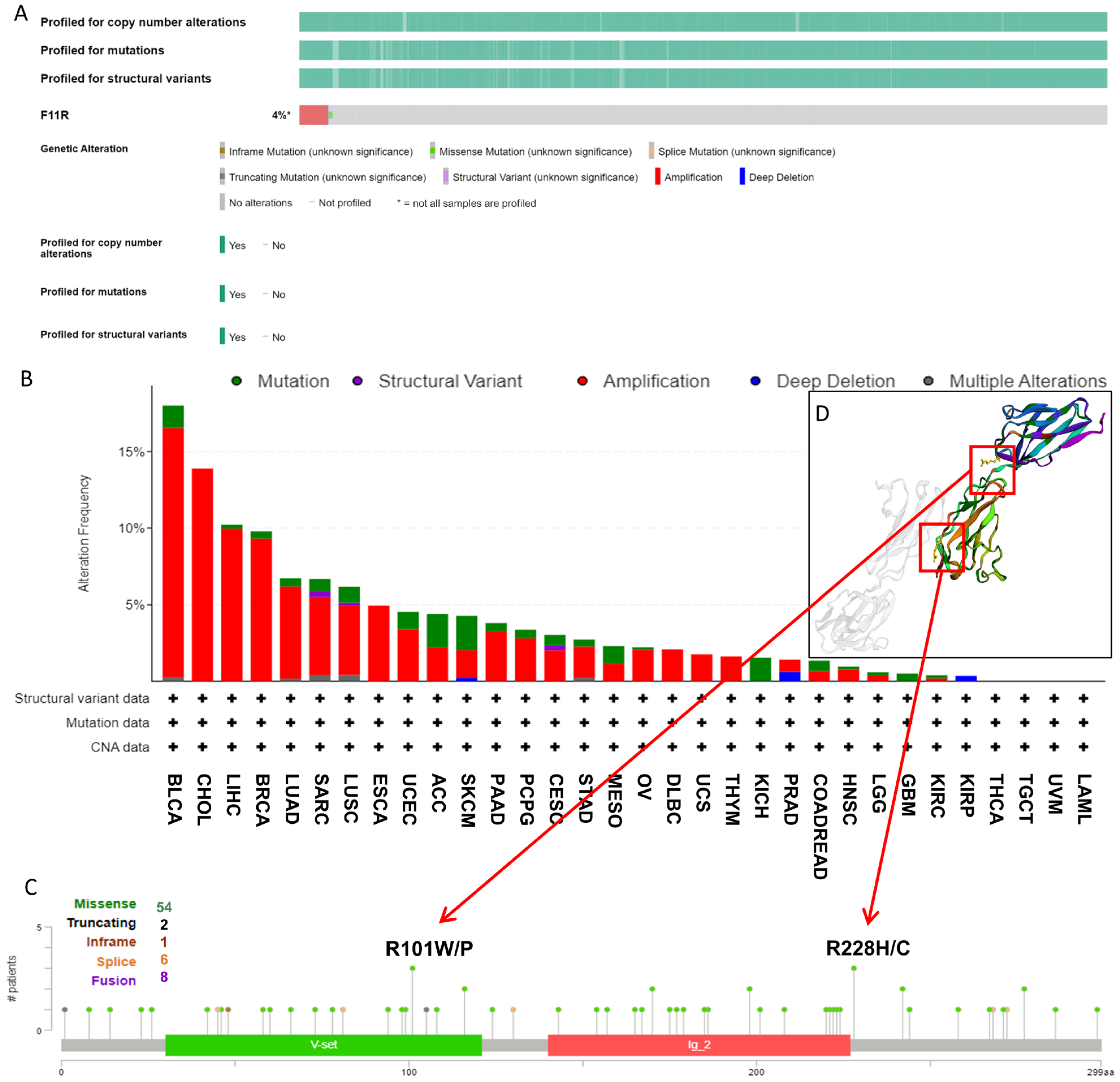 Biomedicines 12 01423 g004