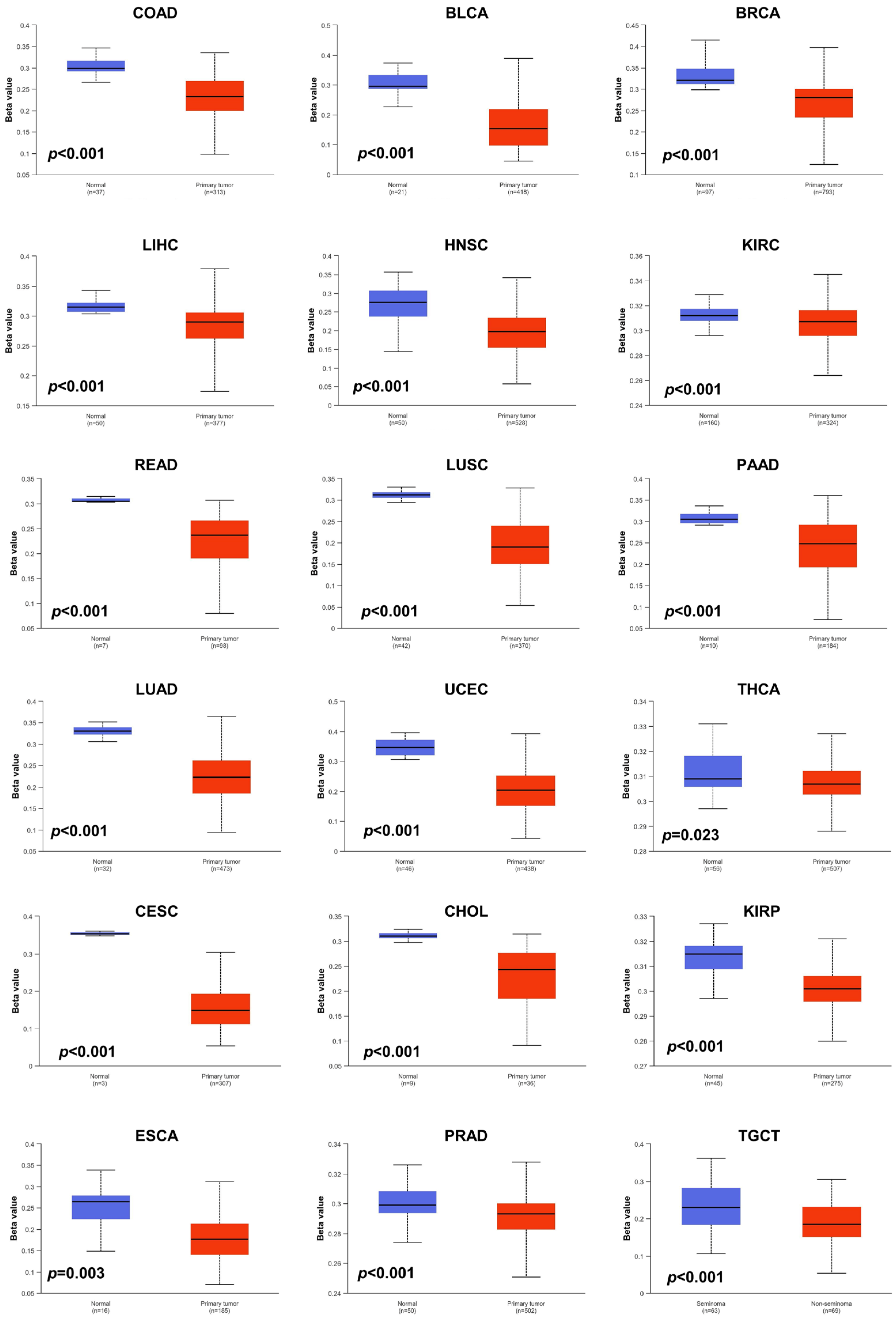 Biomedicines 12 01423 g005