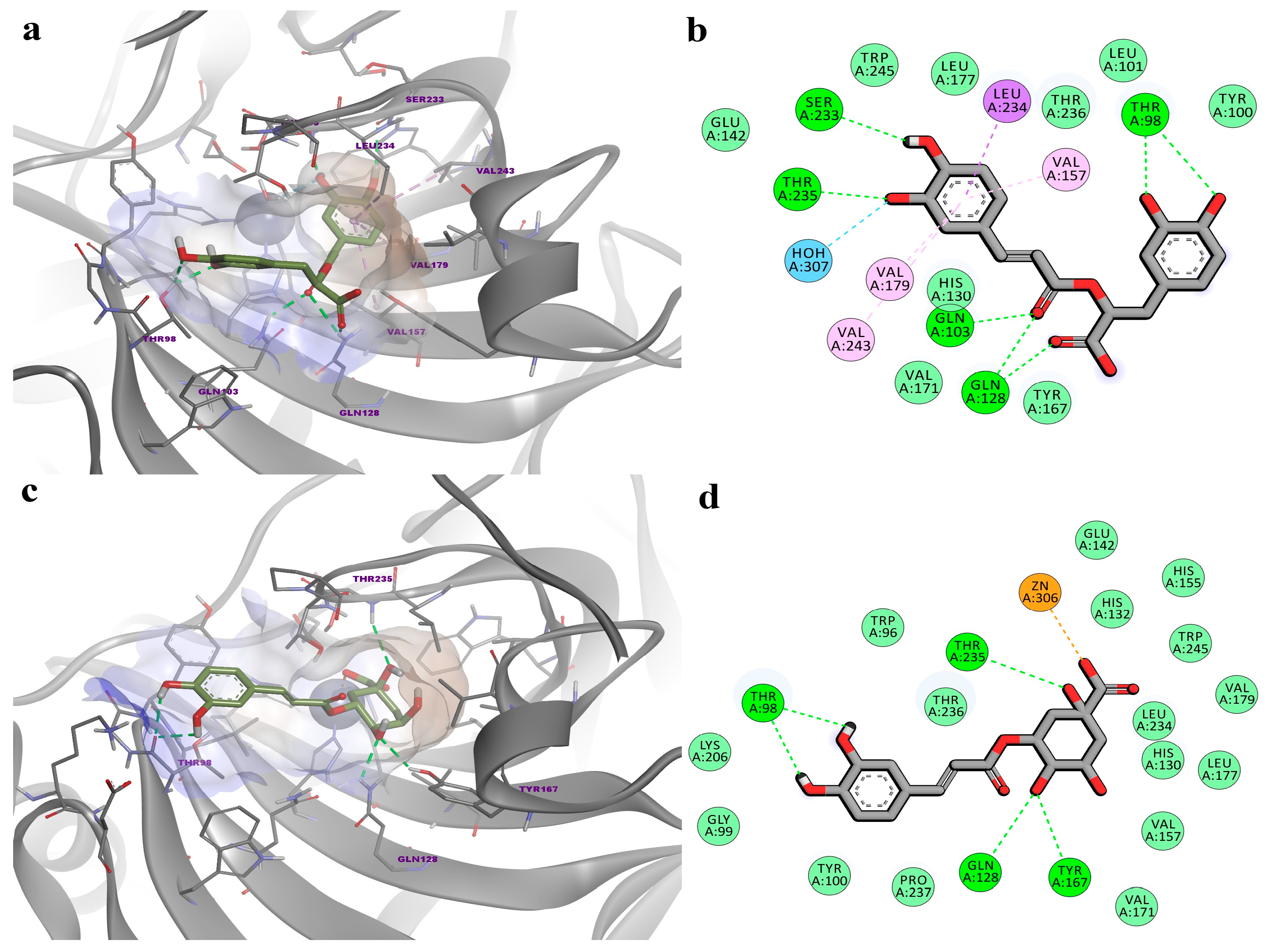Biomedicines 12 01431 g005