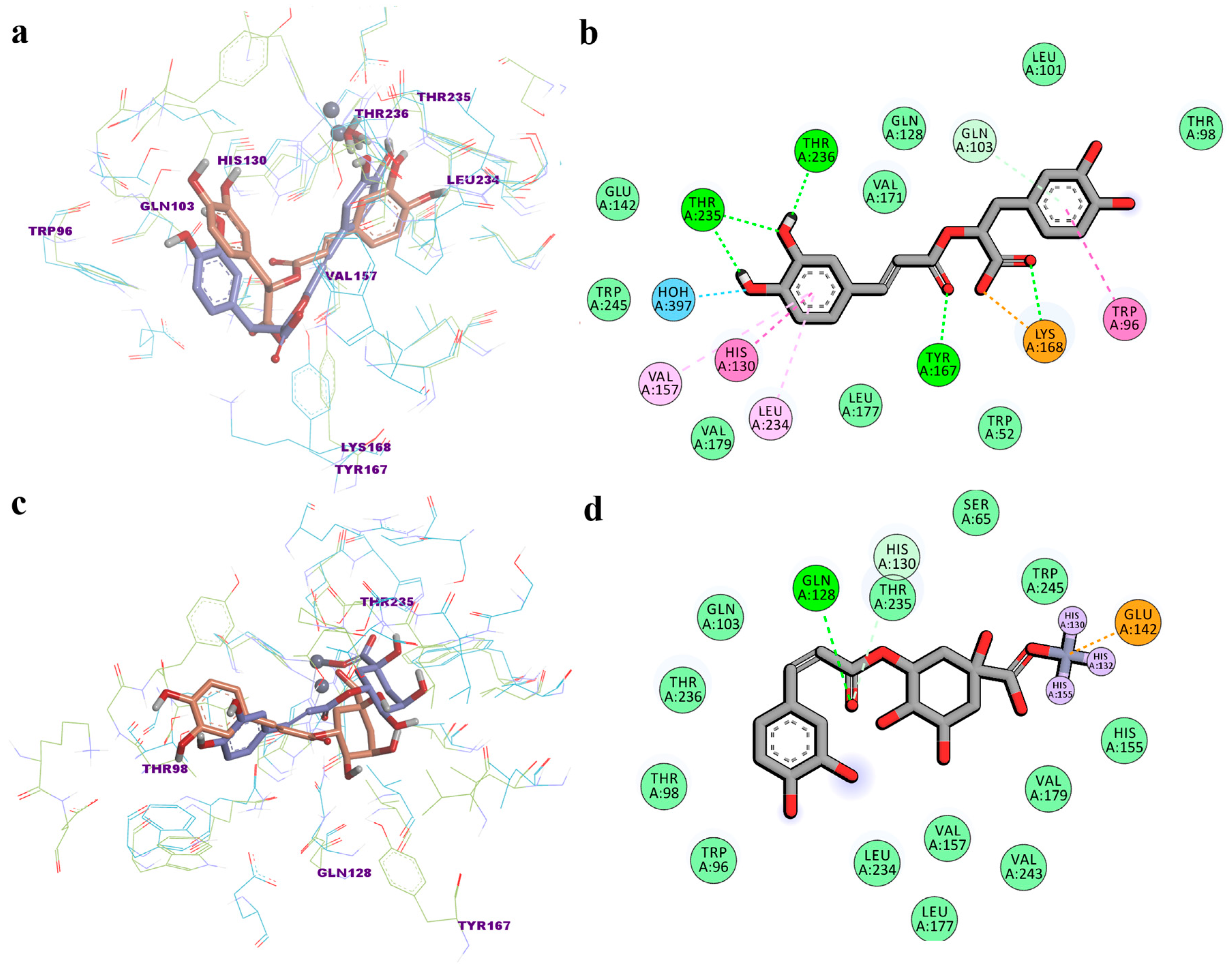 Biomedicines 12 01431 g007