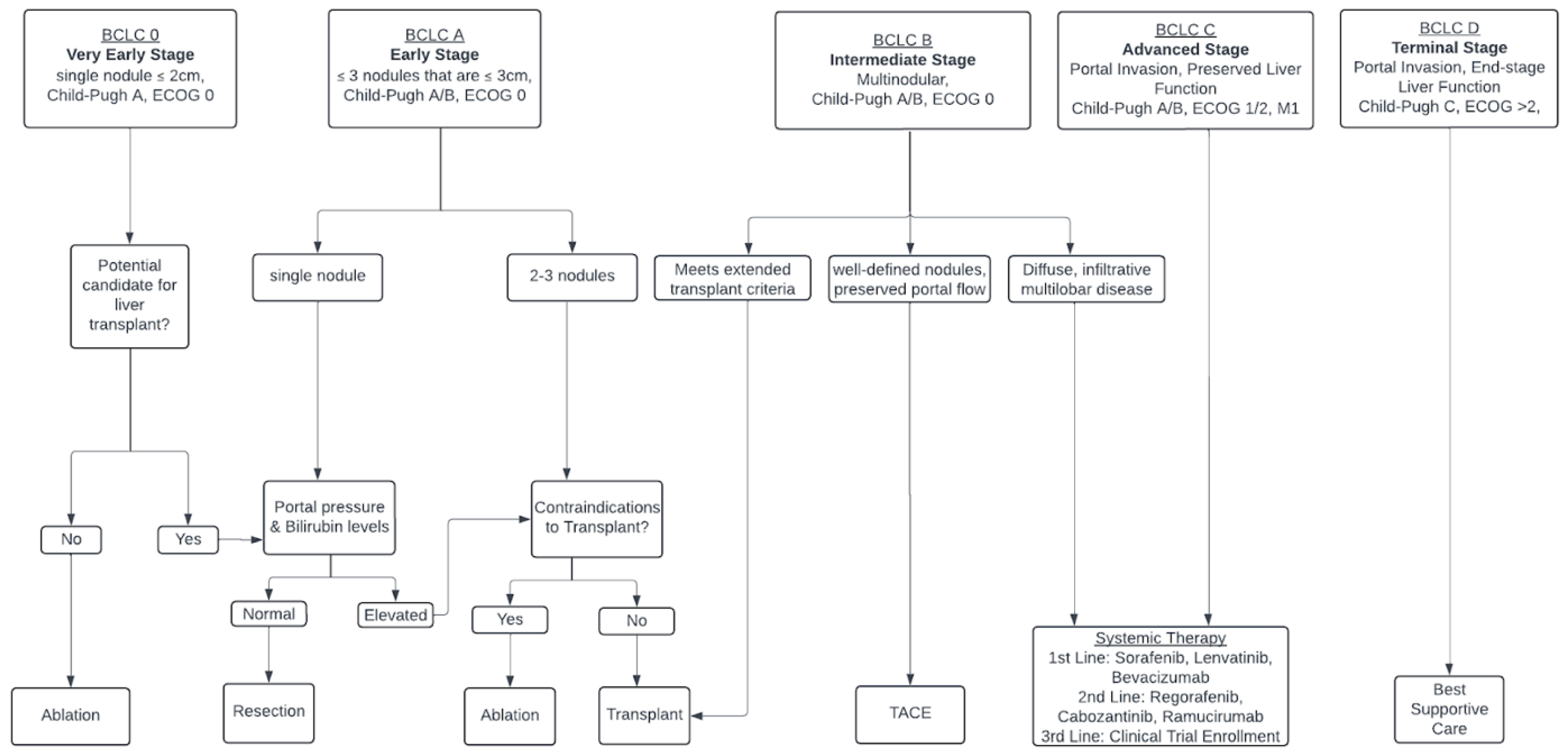 Biomedicines 12 01432 g001 Biomedicines 12 01432 g001