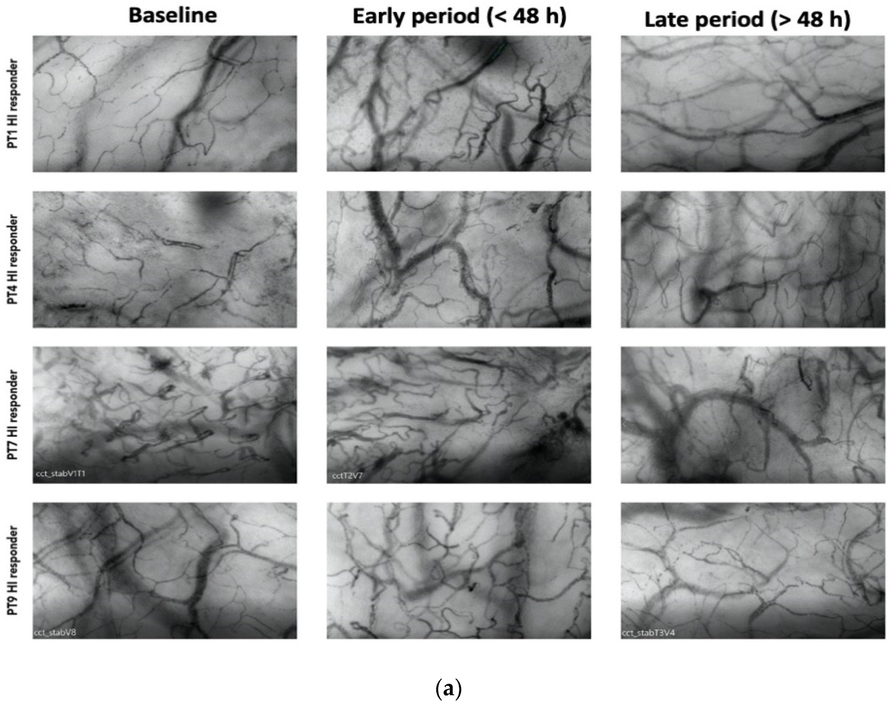 Biomedicines 12 01435 g002a Biomedicines 12 01435 g002a